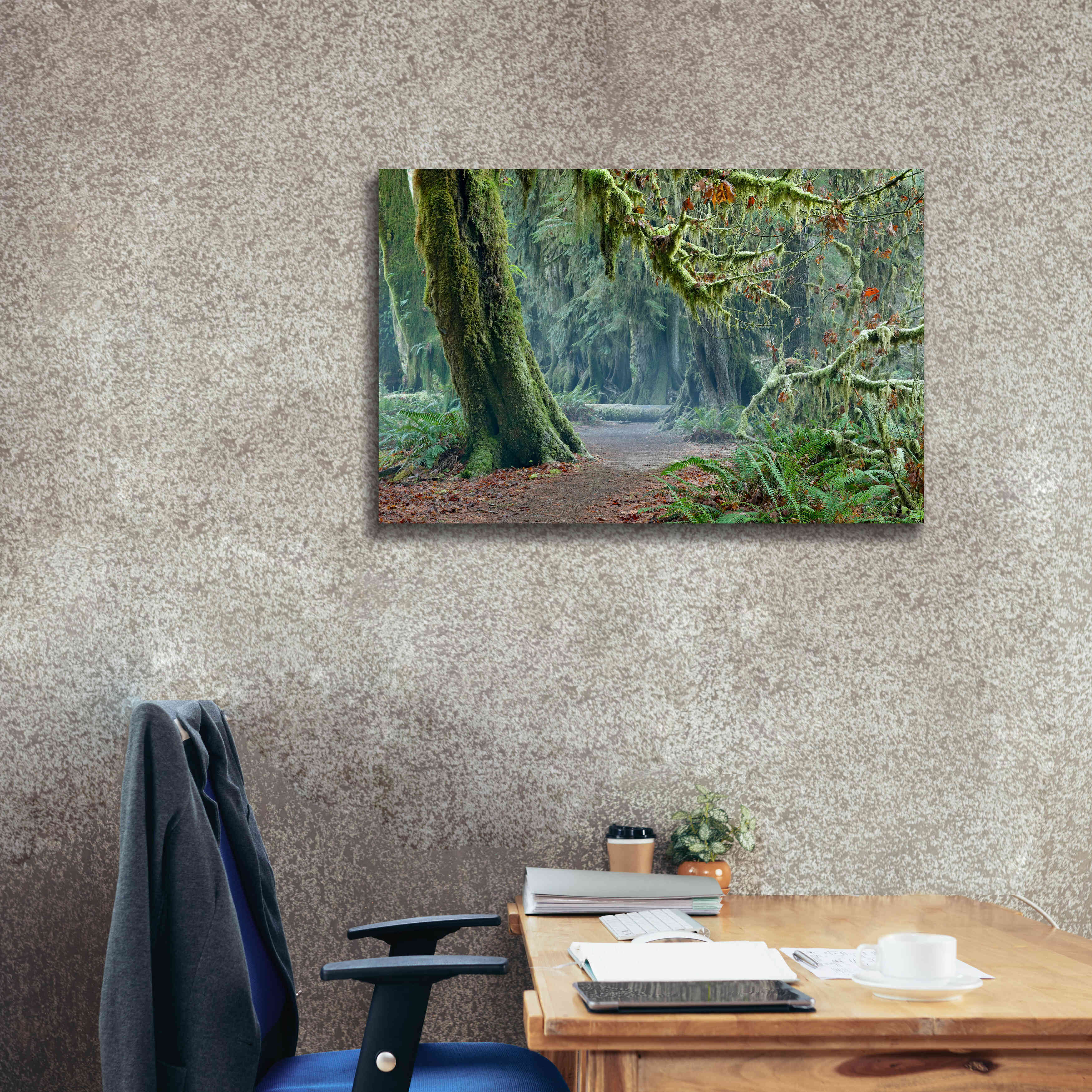 'Olympic NP Trail' by Mike Jones, Giclee Canvas Wall Art,40 x 26