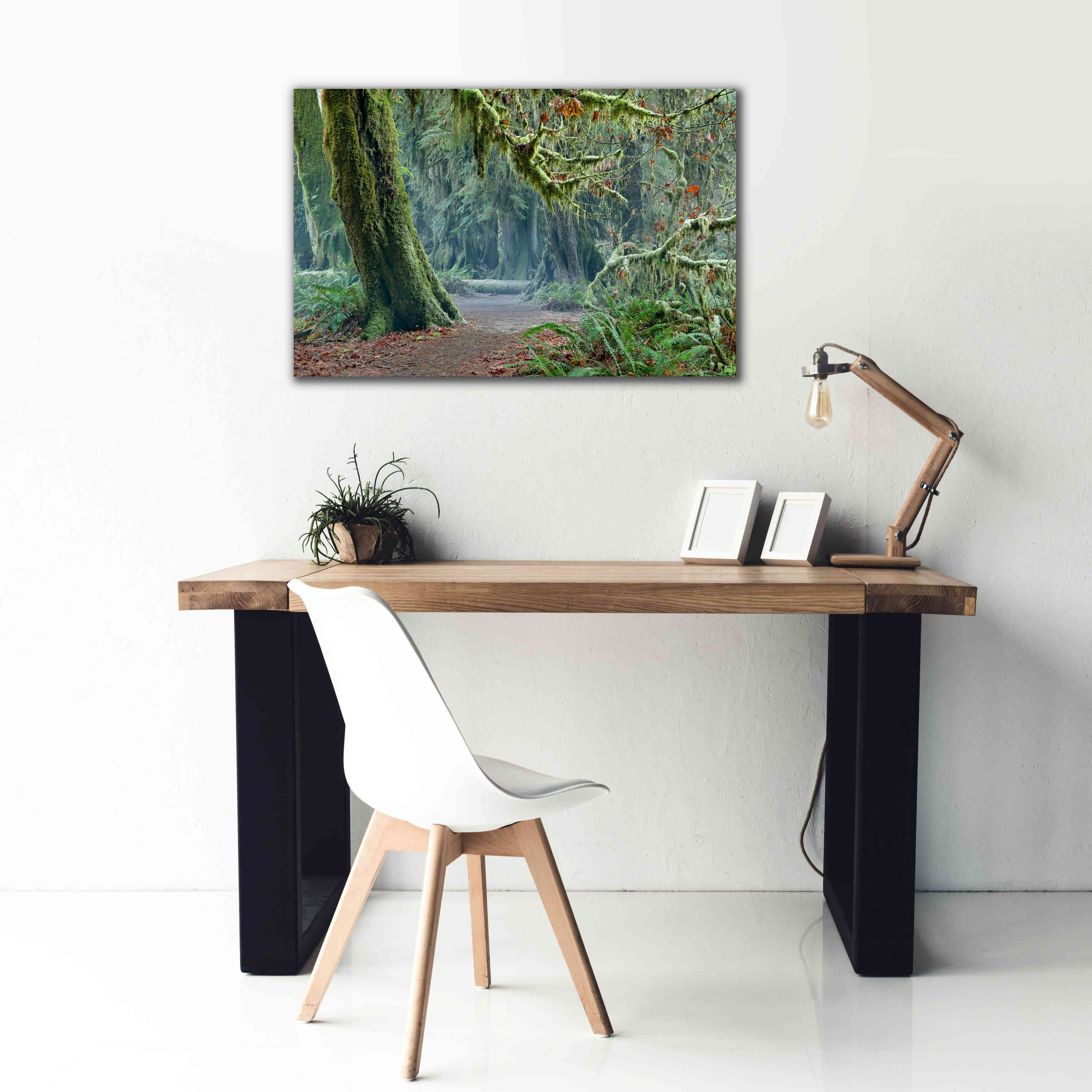 'Olympic NP Trail' by Mike Jones, Giclee Canvas Wall Art,40 x 26