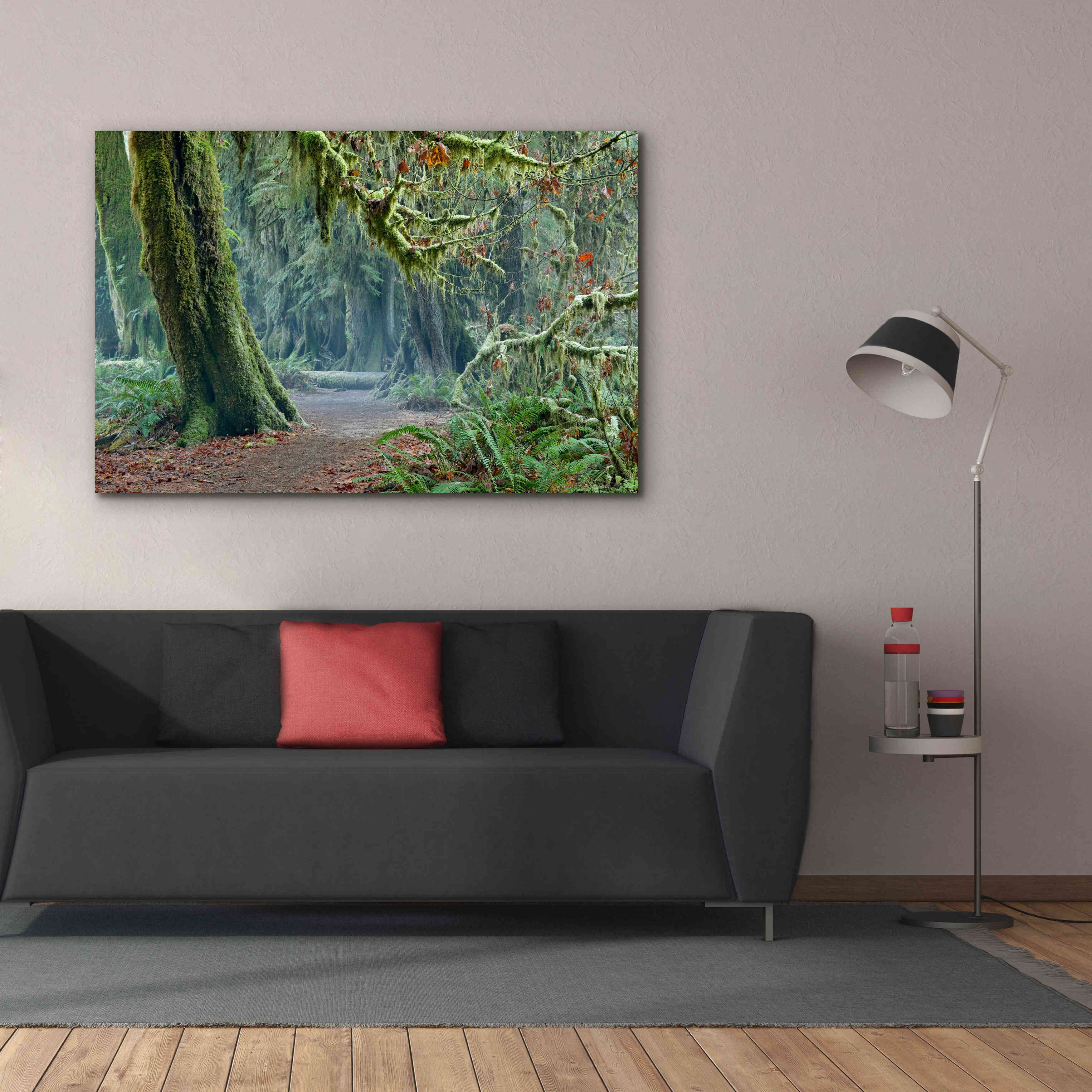'Olympic NP Trail' by Mike Jones, Giclee Canvas Wall Art,60 x 40