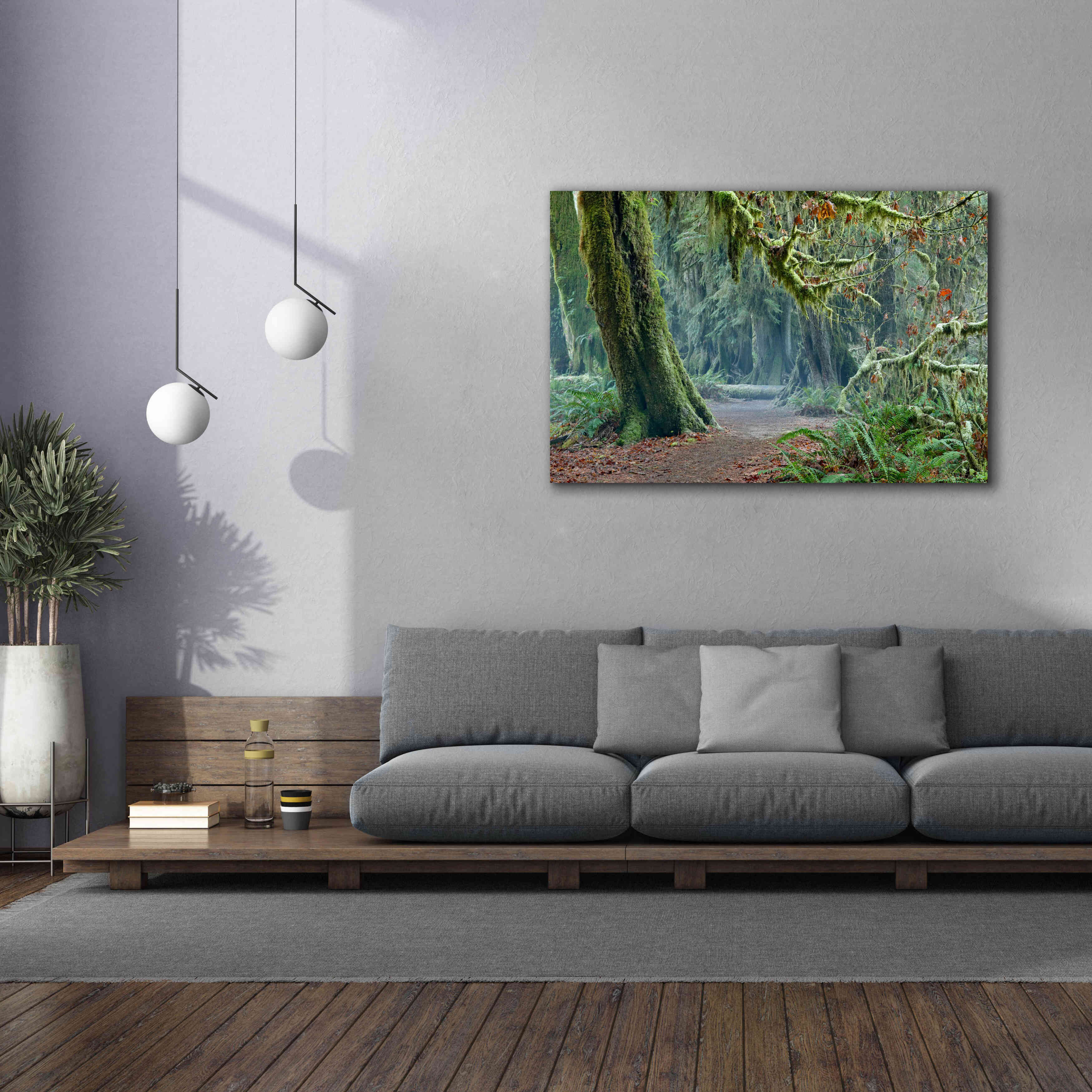 'Olympic NP Trail' by Mike Jones, Giclee Canvas Wall Art,60 x 40