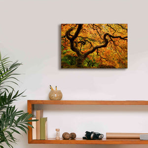 'Portland Japanese Garden' by Mike Jones, Giclee Canvas Wall Art,18 x 12