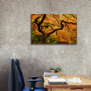 'Portland Japanese Garden' by Mike Jones, Giclee Canvas Wall Art,40 x 26