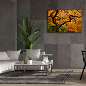 'Portland Japanese Garden' by Mike Jones, Giclee Canvas Wall Art,60 x 40