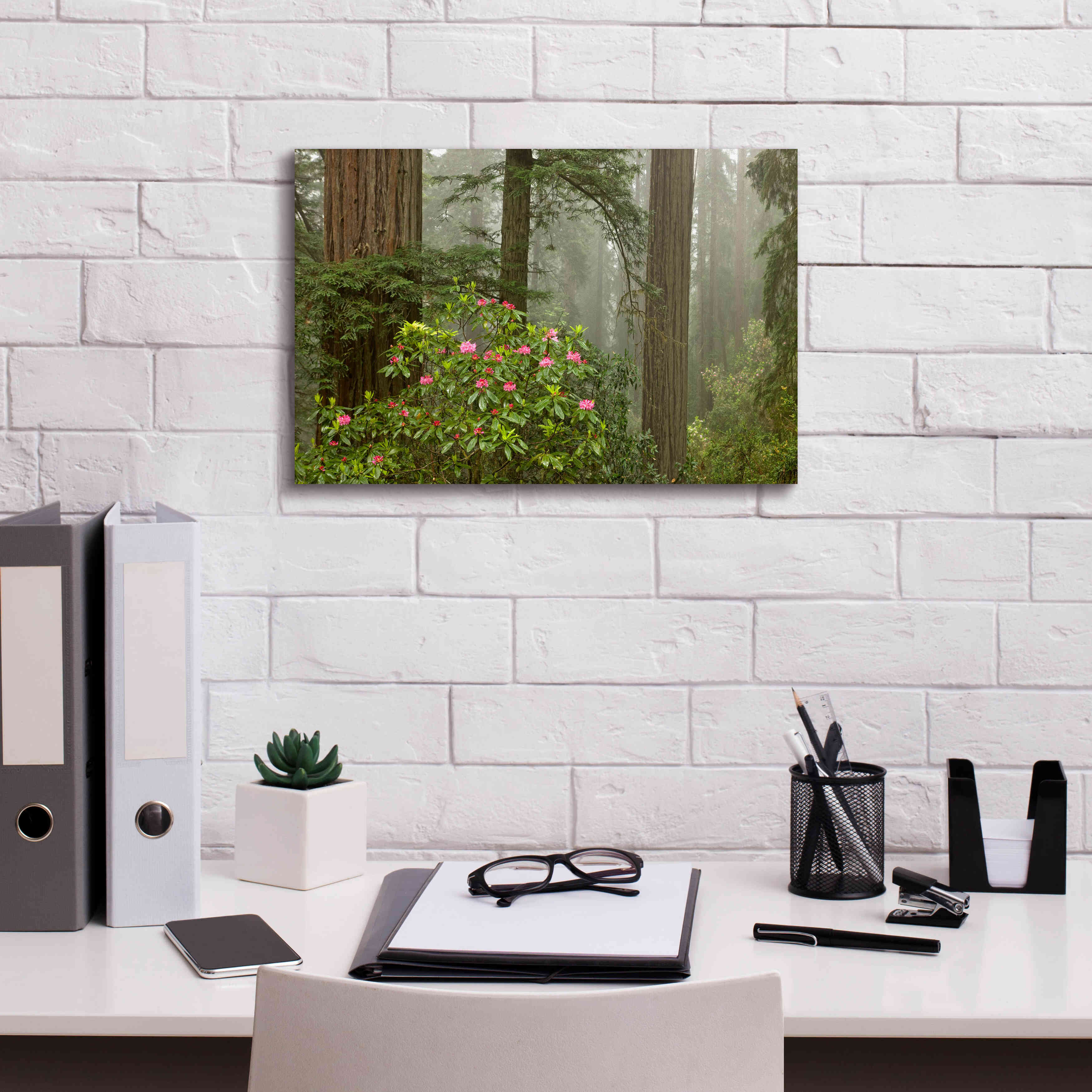 'Redwood Fog Rhododendrons' by Mike Jones, Giclee Canvas Wall Art,18 x 12