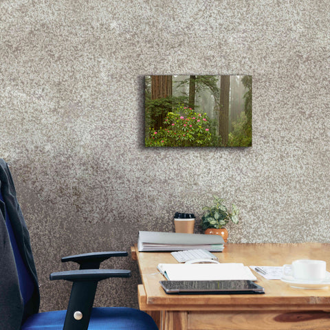 Image of 'Redwood Fog Rhododendrons' by Mike Jones, Giclee Canvas Wall Art,18 x 12