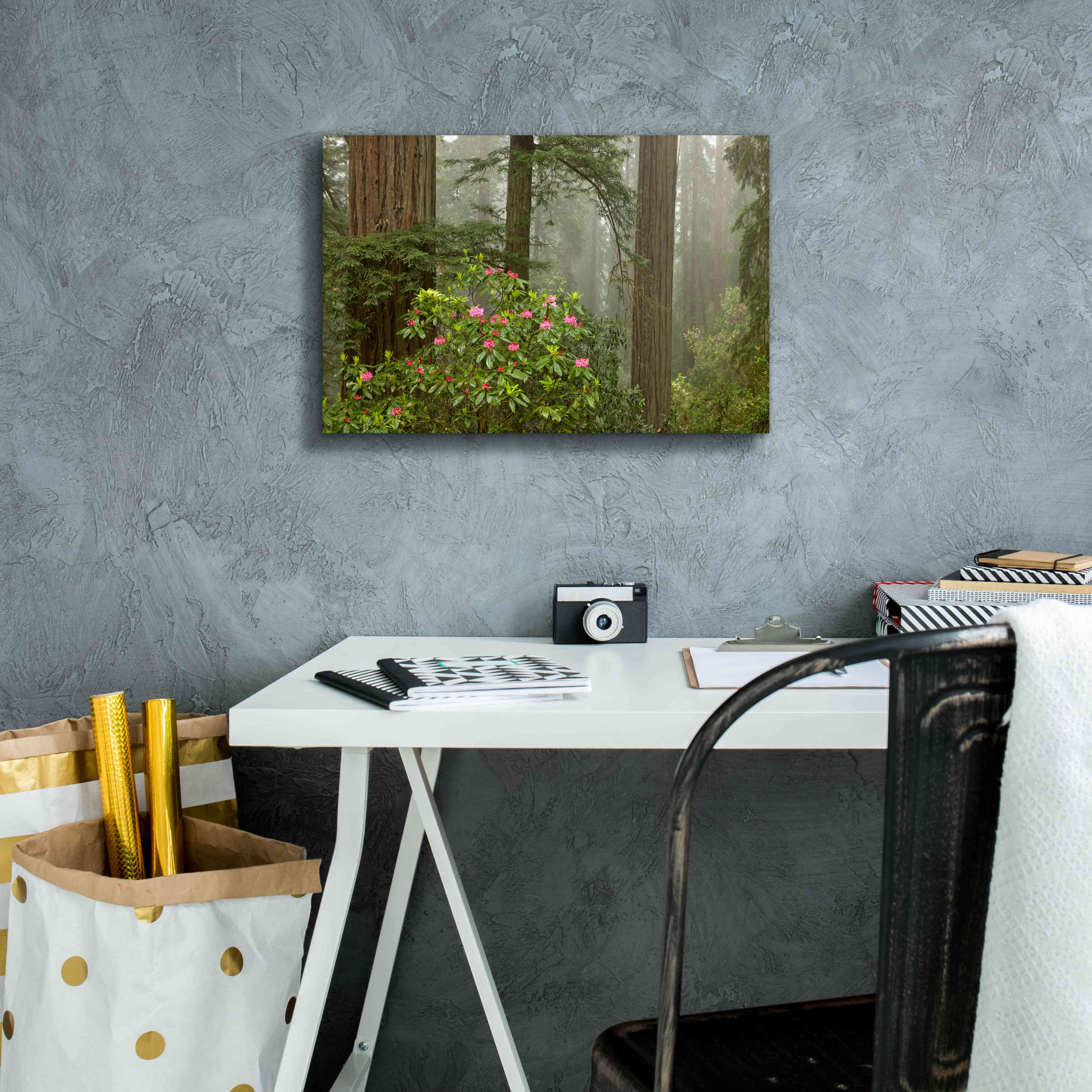 'Redwood Fog Rhododendrons' by Mike Jones, Giclee Canvas Wall Art,18 x 12