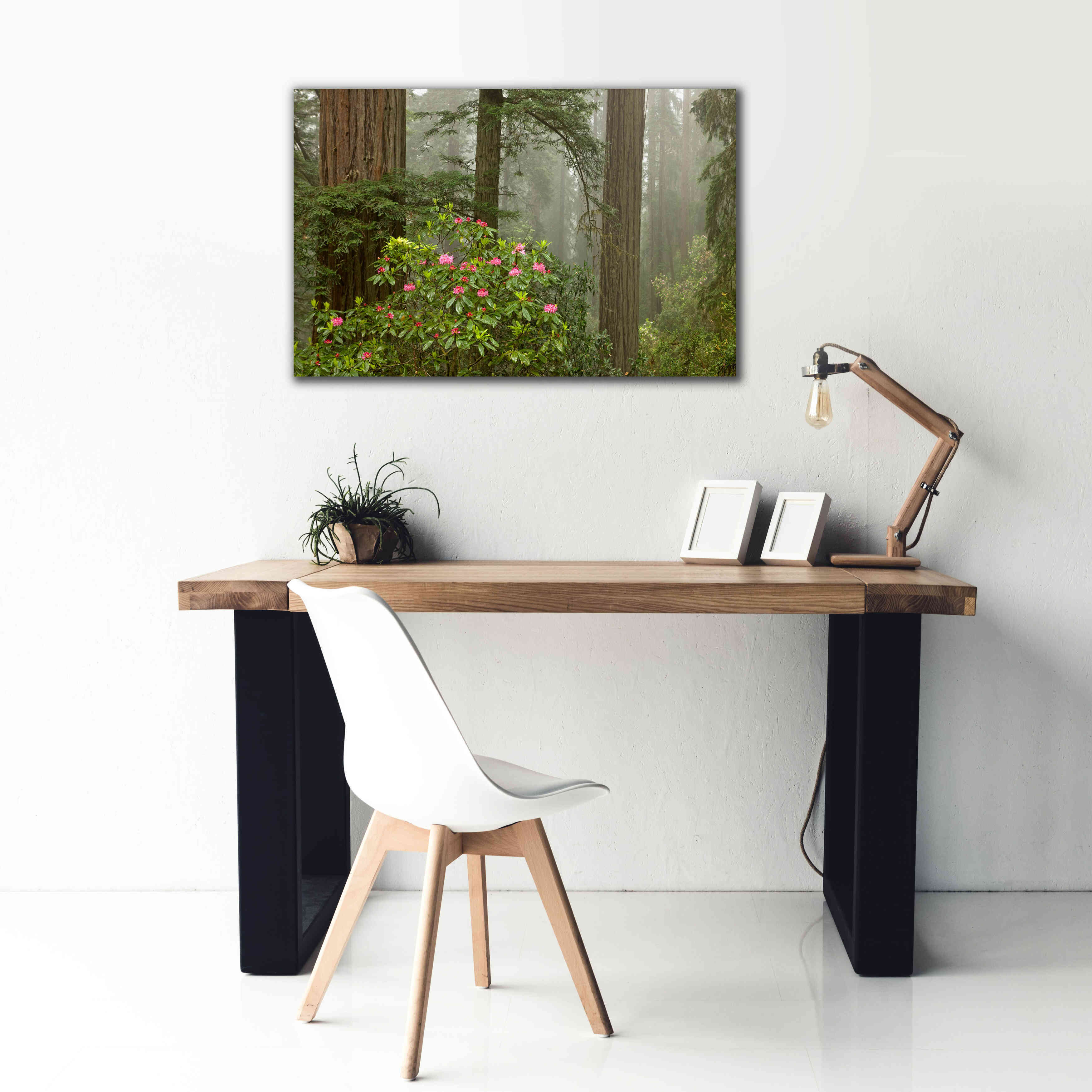 'Redwood Fog Rhododendrons' by Mike Jones, Giclee Canvas Wall Art,40 x 26