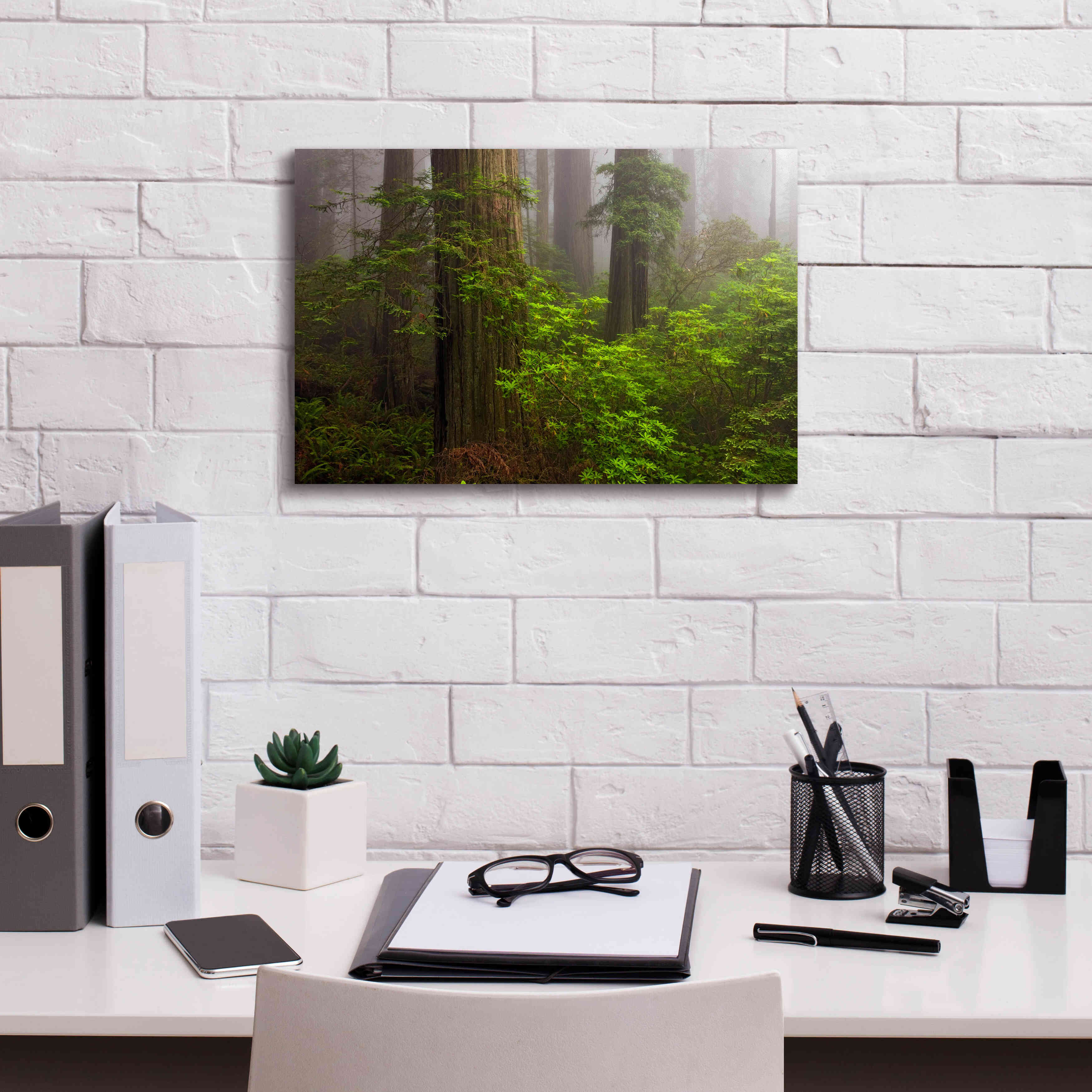 'Redwoods Fog' by Mike Jones, Giclee Canvas Wall Art,18 x 12