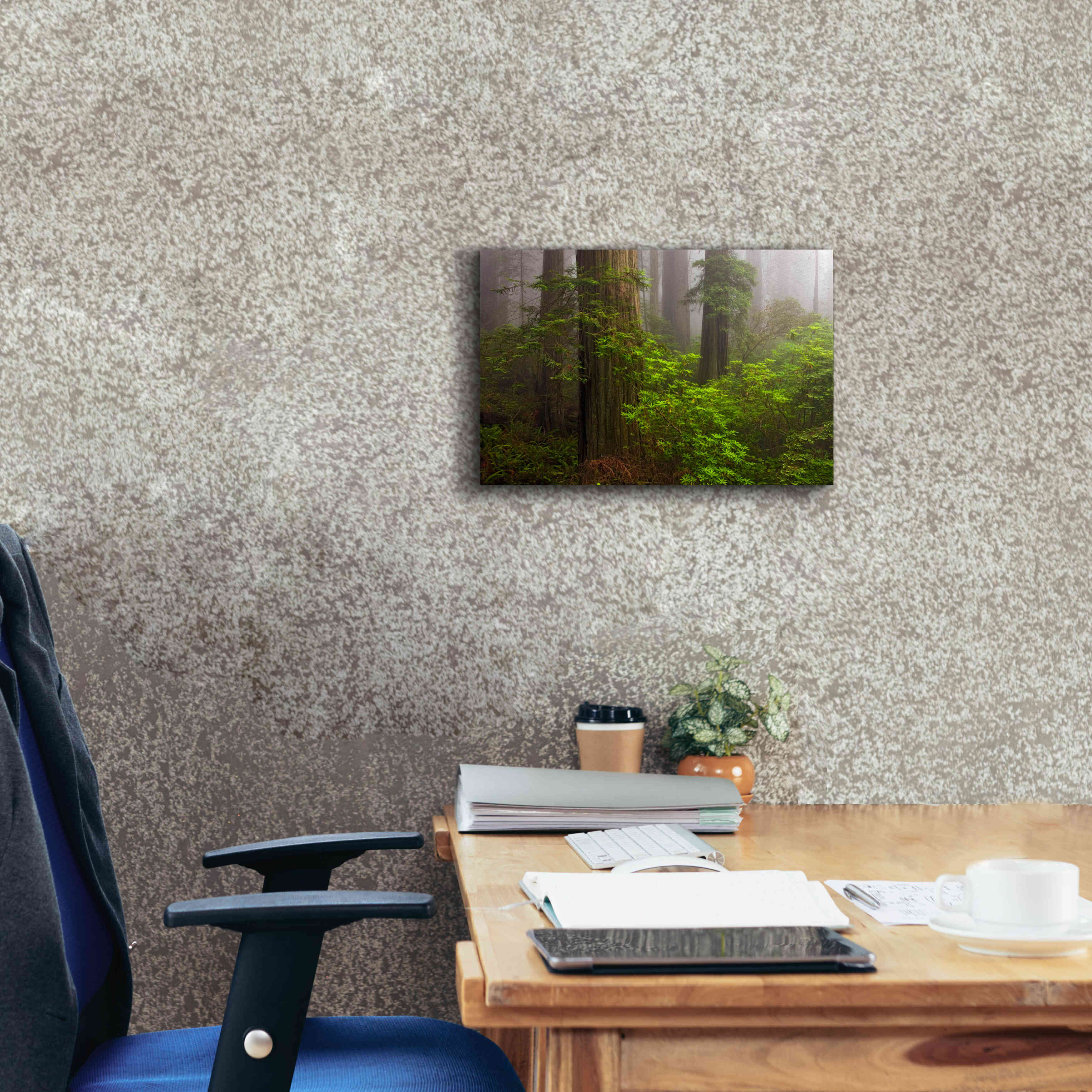 'Redwoods Fog' by Mike Jones, Giclee Canvas Wall Art,18 x 12