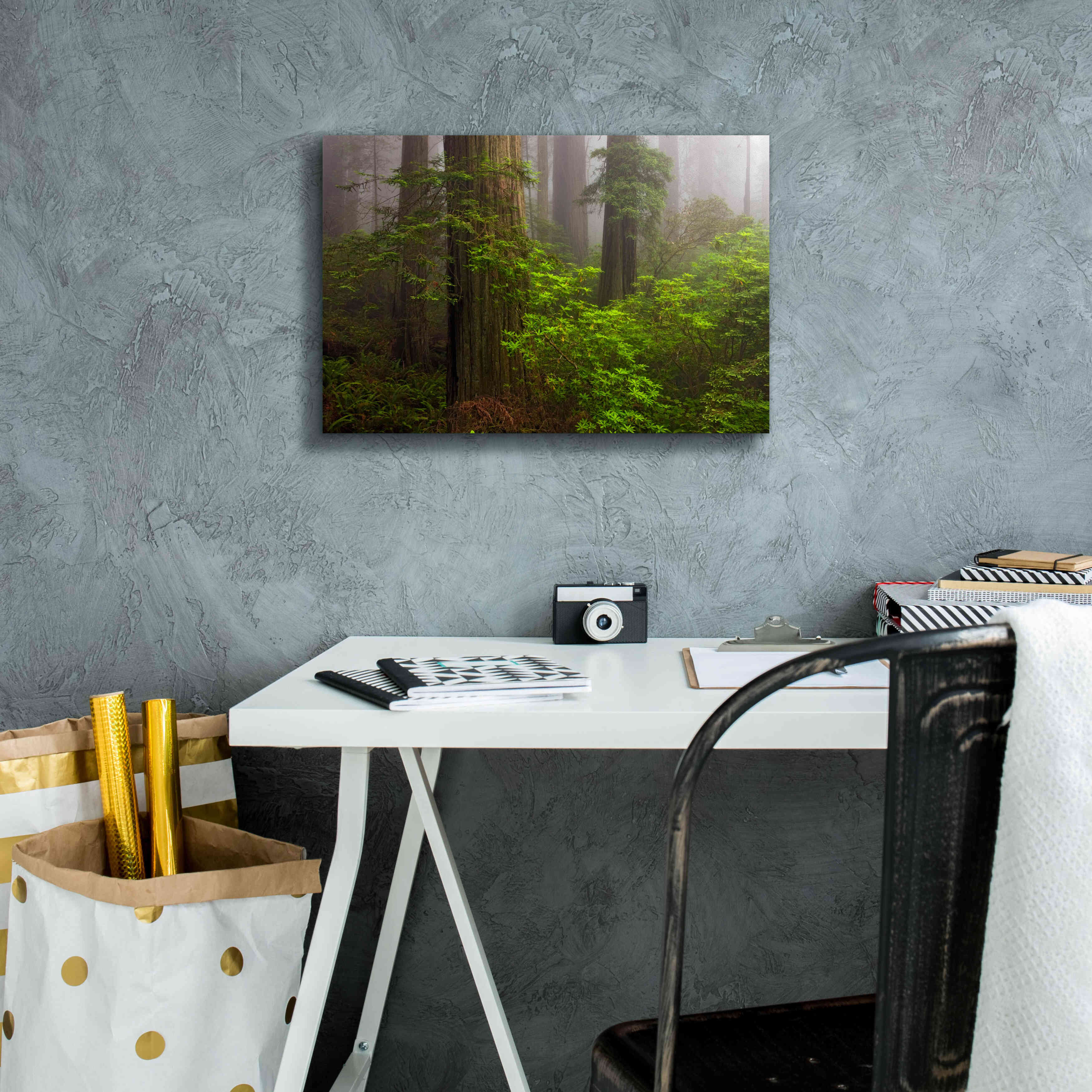 'Redwoods Fog' by Mike Jones, Giclee Canvas Wall Art,18 x 12