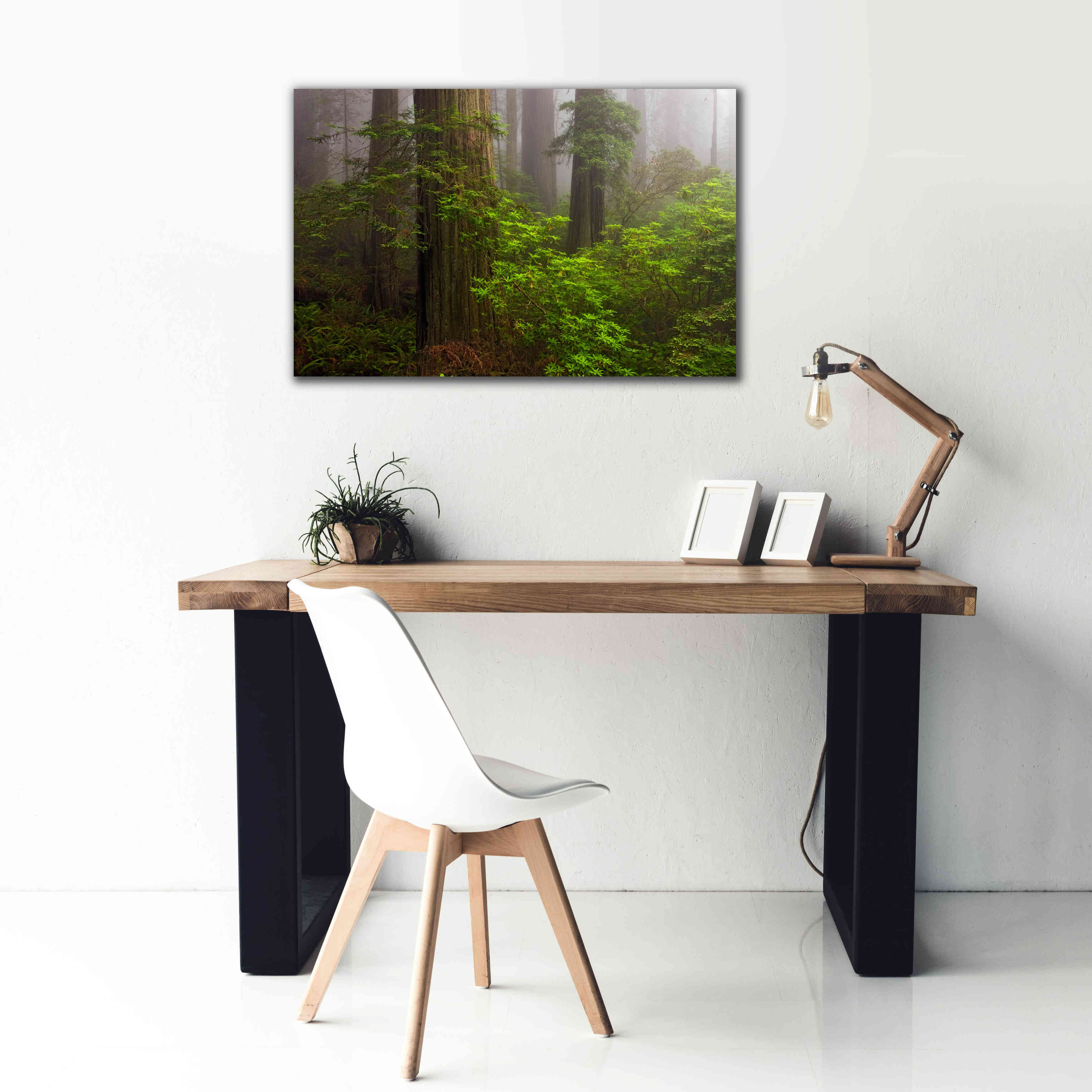 'Redwoods Fog' by Mike Jones, Giclee Canvas Wall Art,40 x 26