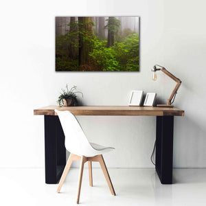 'Redwoods Fog' by Mike Jones, Giclee Canvas Wall Art,40 x 26
