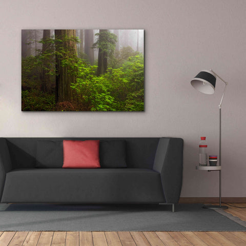 Image of 'Redwoods Fog' by Mike Jones, Giclee Canvas Wall Art,60 x 40