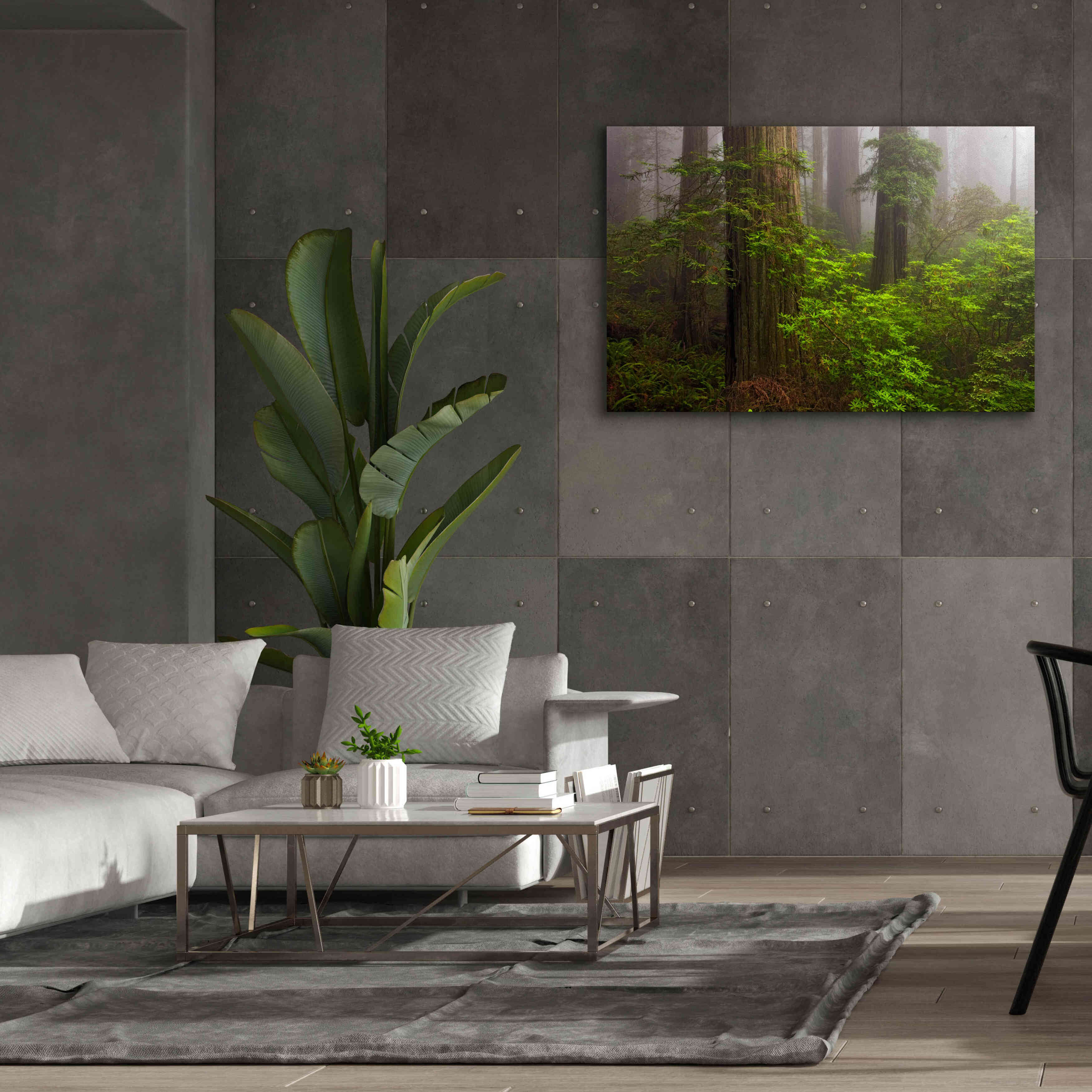 'Redwoods Fog' by Mike Jones, Giclee Canvas Wall Art,60 x 40