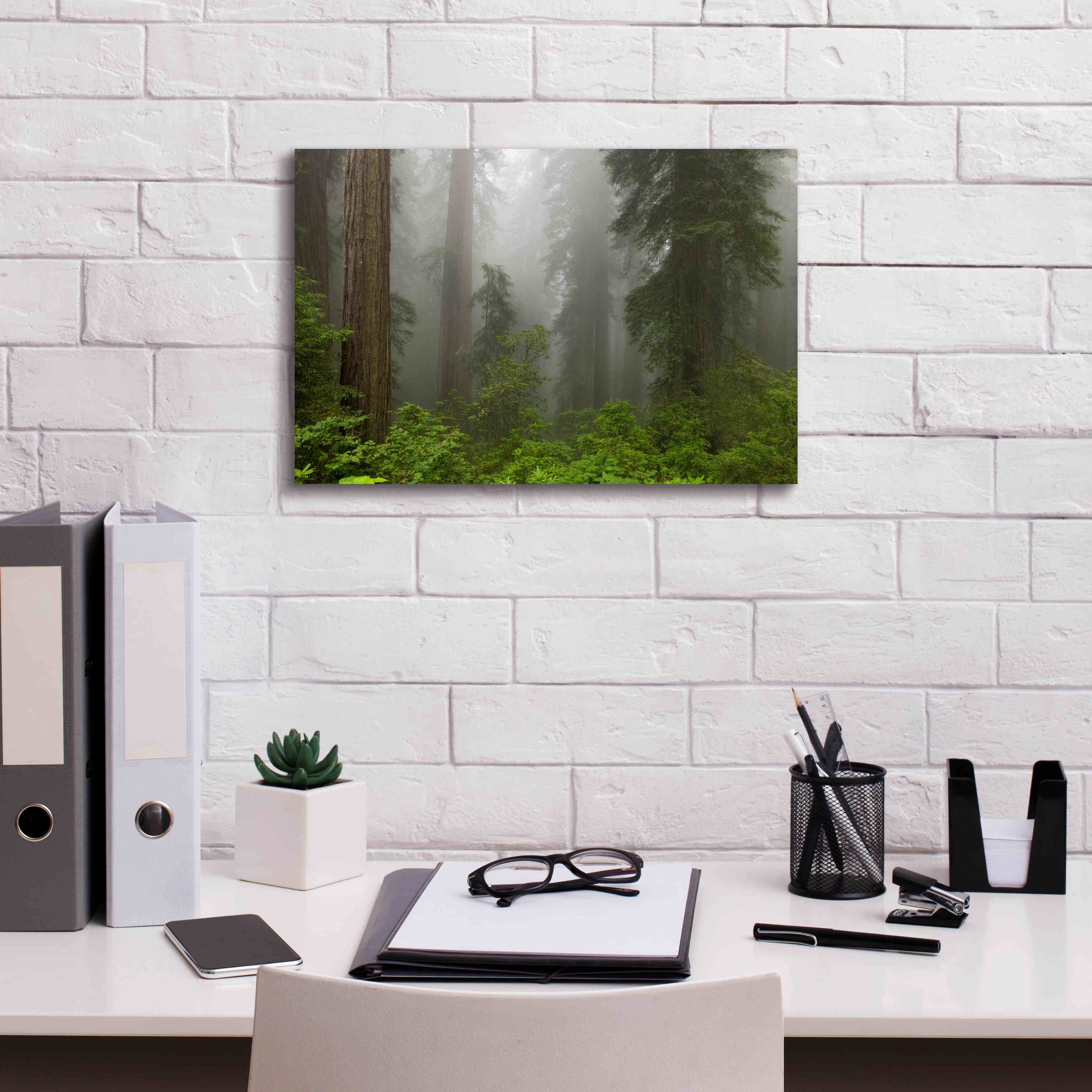 'Redwoods NP Fog' by Mike Jones, Giclee Canvas Wall Art,18 x 12