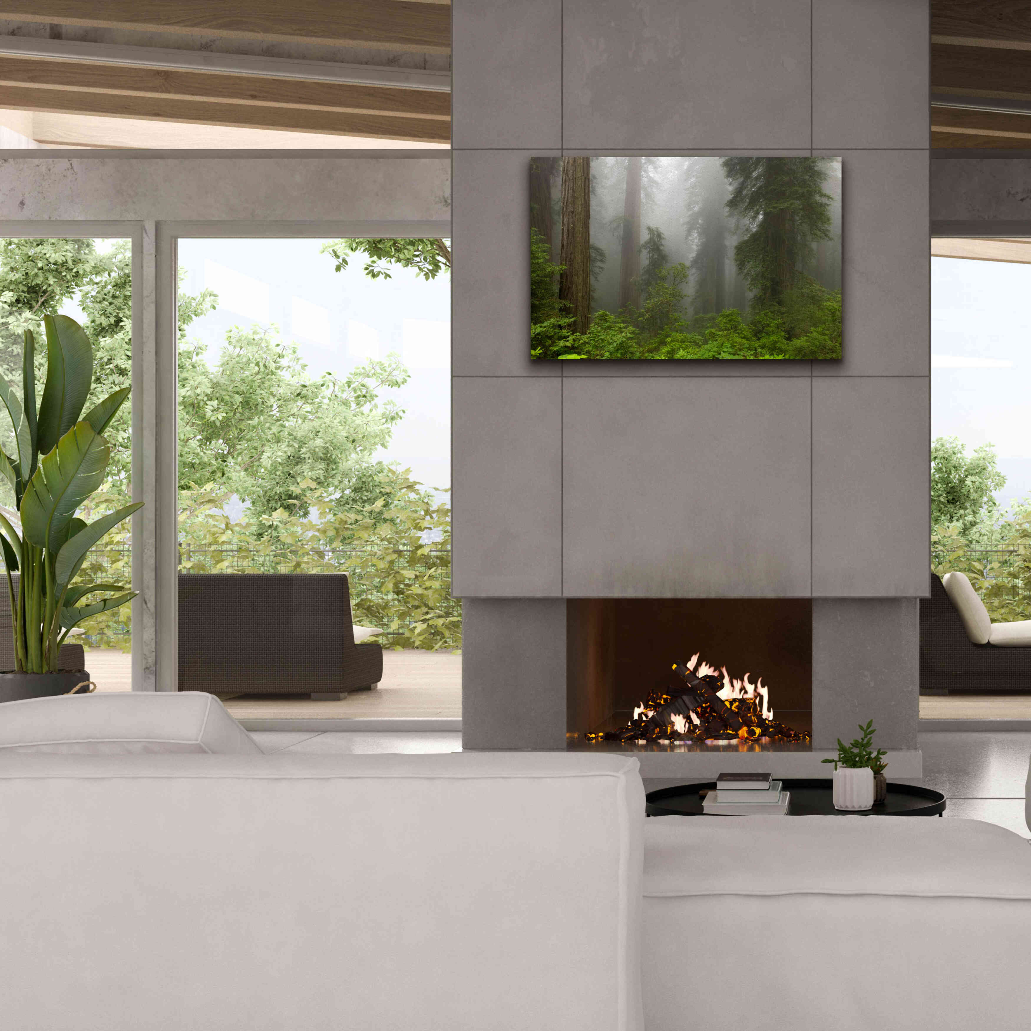 'Redwoods NP Fog' by Mike Jones, Giclee Canvas Wall Art,40 x 26