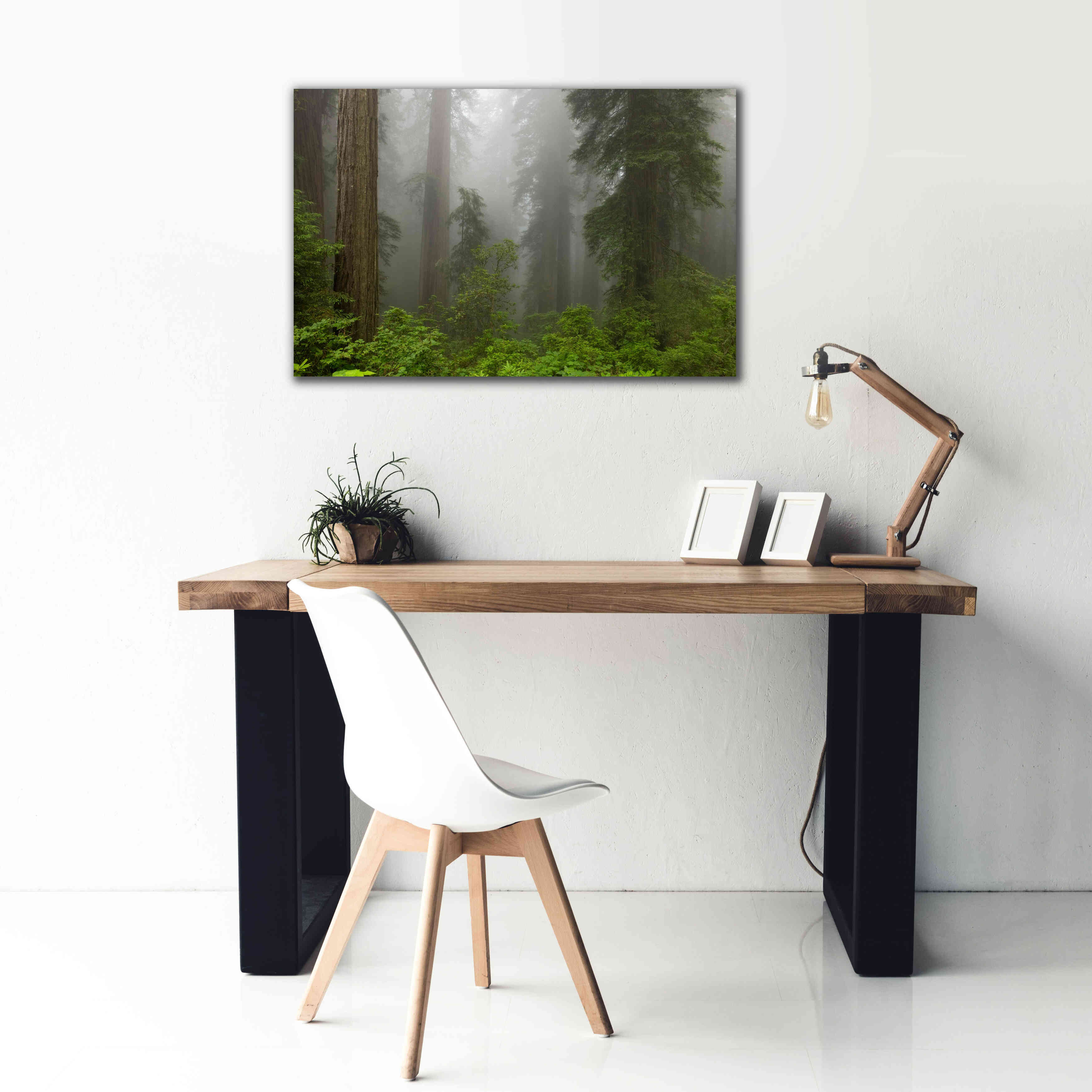 'Redwoods NP Fog' by Mike Jones, Giclee Canvas Wall Art,40 x 26