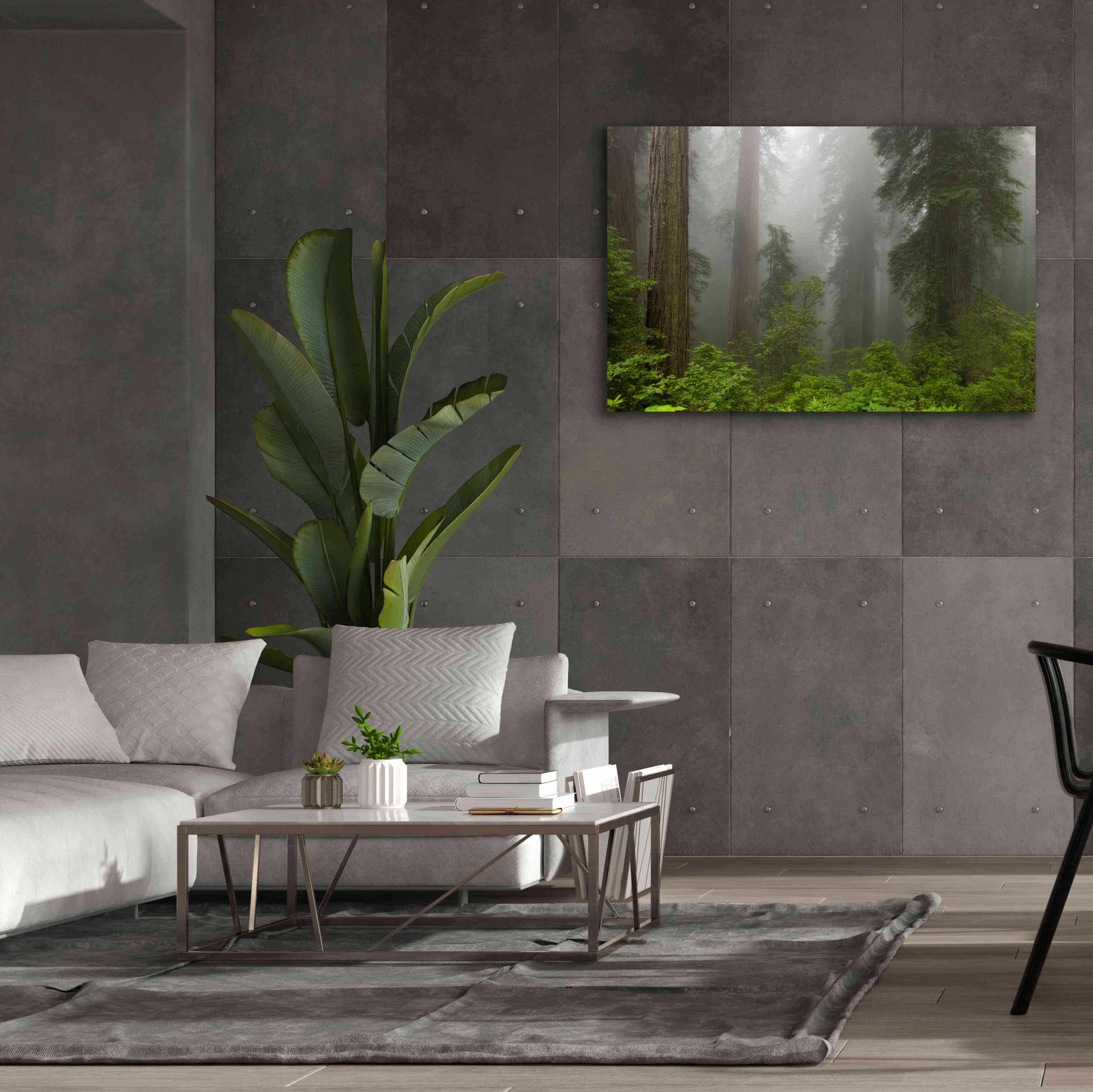 'Redwoods NP Fog' by Mike Jones, Giclee Canvas Wall Art,60 x 40