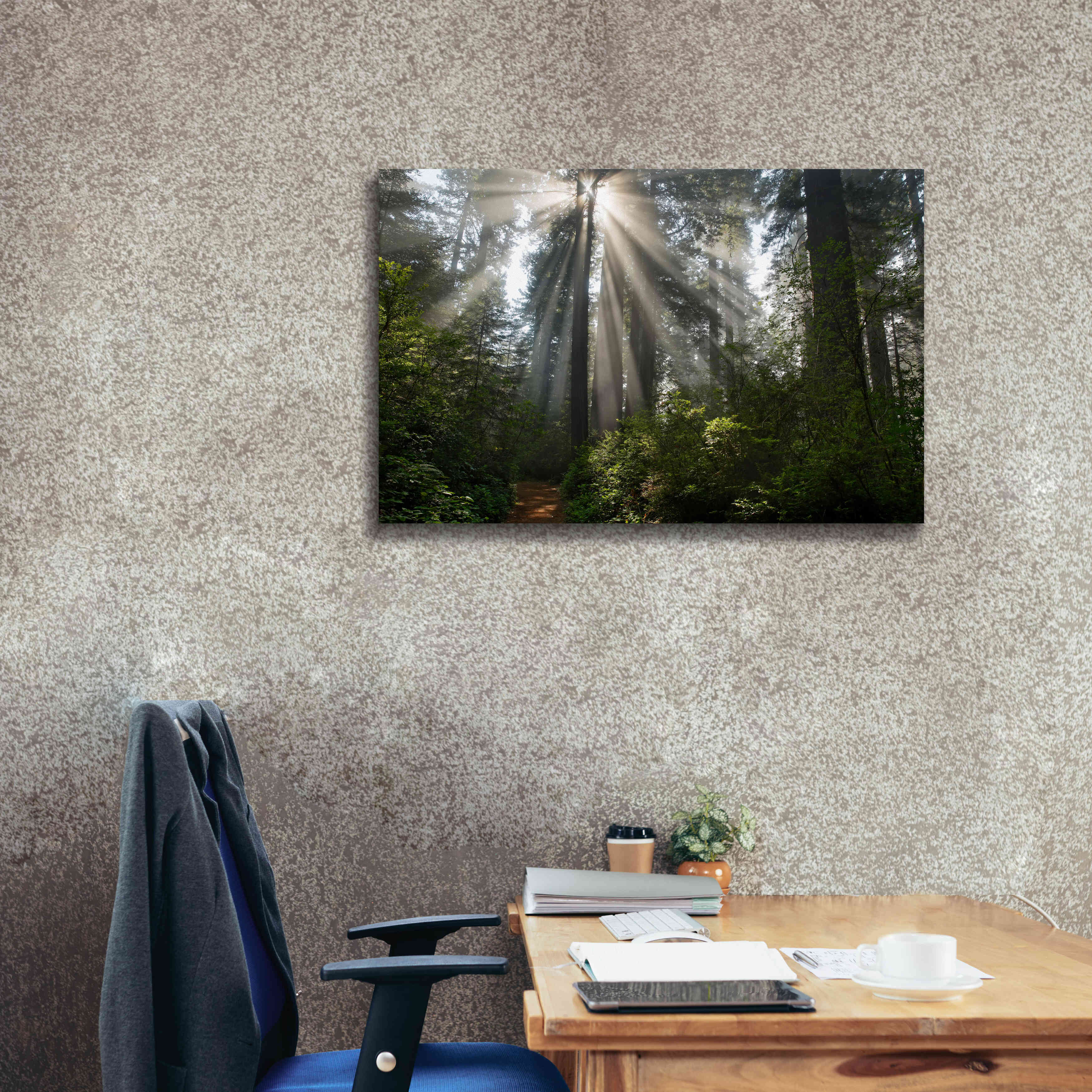 'Redwoods NP Ladybird Johnson Lightbeams' by Mike Jones, Giclee Canvas Wall Art,40 x 26