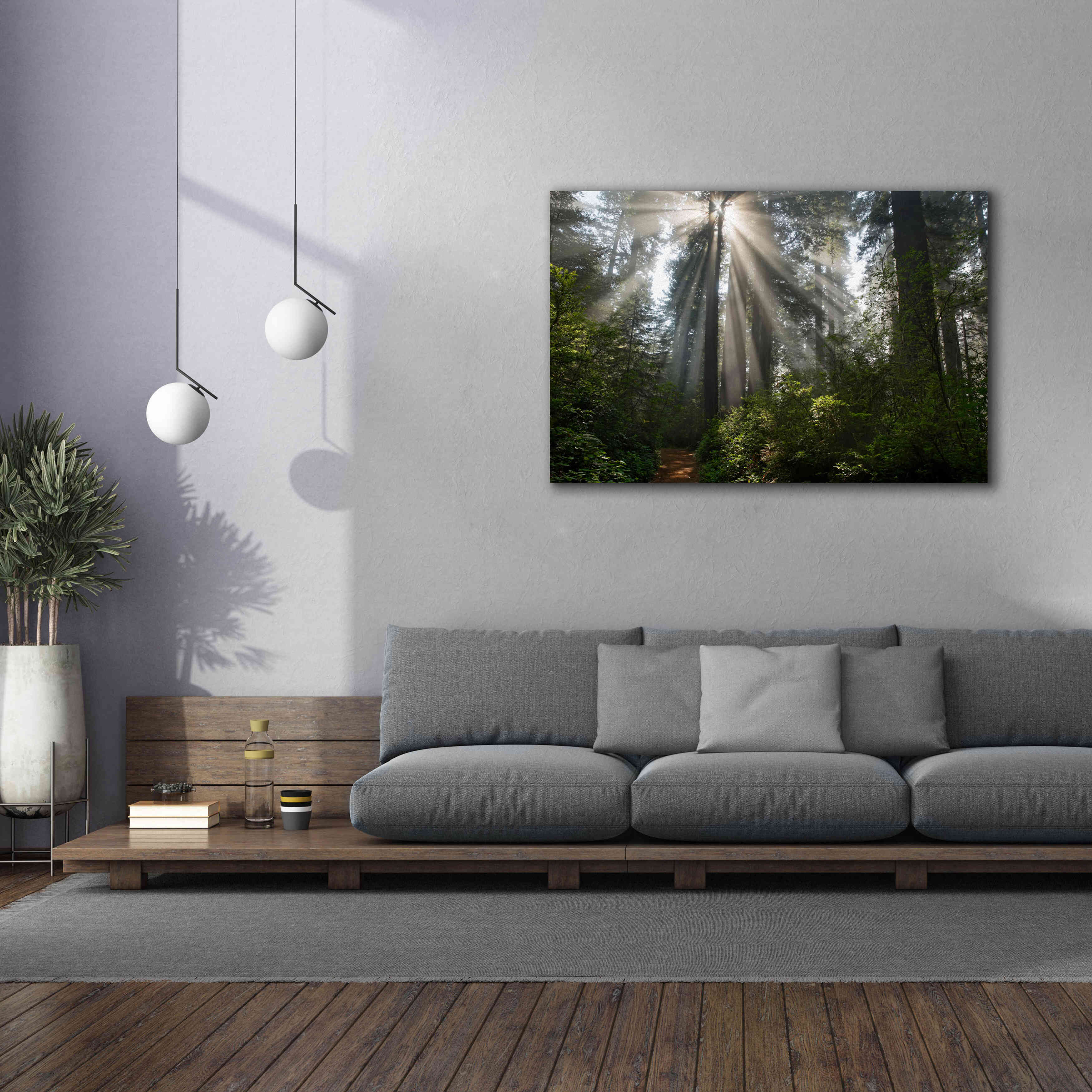 'Redwoods NP Ladybird Johnson Lightbeams' by Mike Jones, Giclee Canvas Wall Art,60 x 40