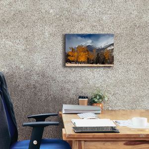 'RMNP Aspens and Storm Clouds' by Mike Jones, Giclee Canvas Wall Art,18 x 12