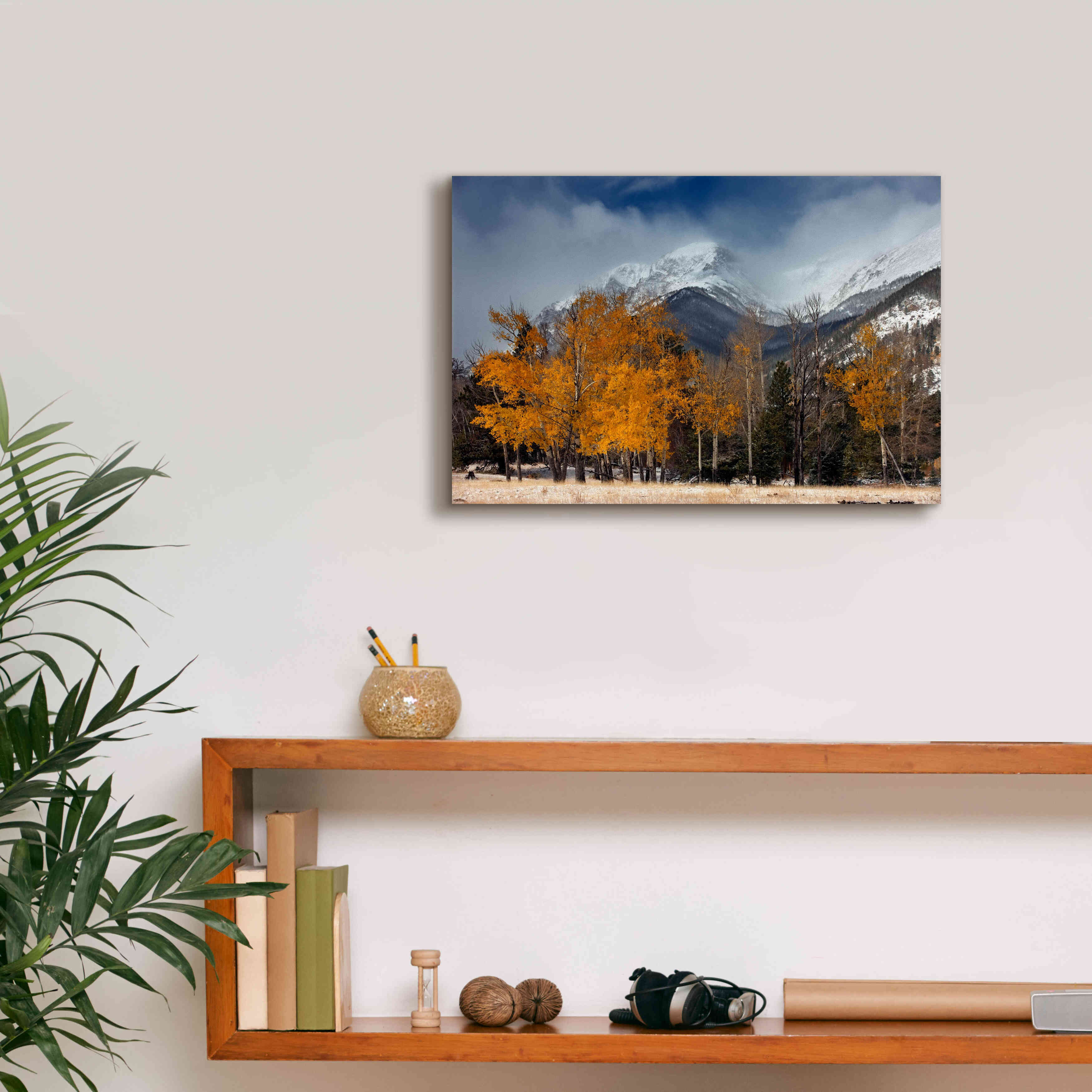 'RMNP Aspens and Storm Clouds' by Mike Jones, Giclee Canvas Wall Art,18 x 12