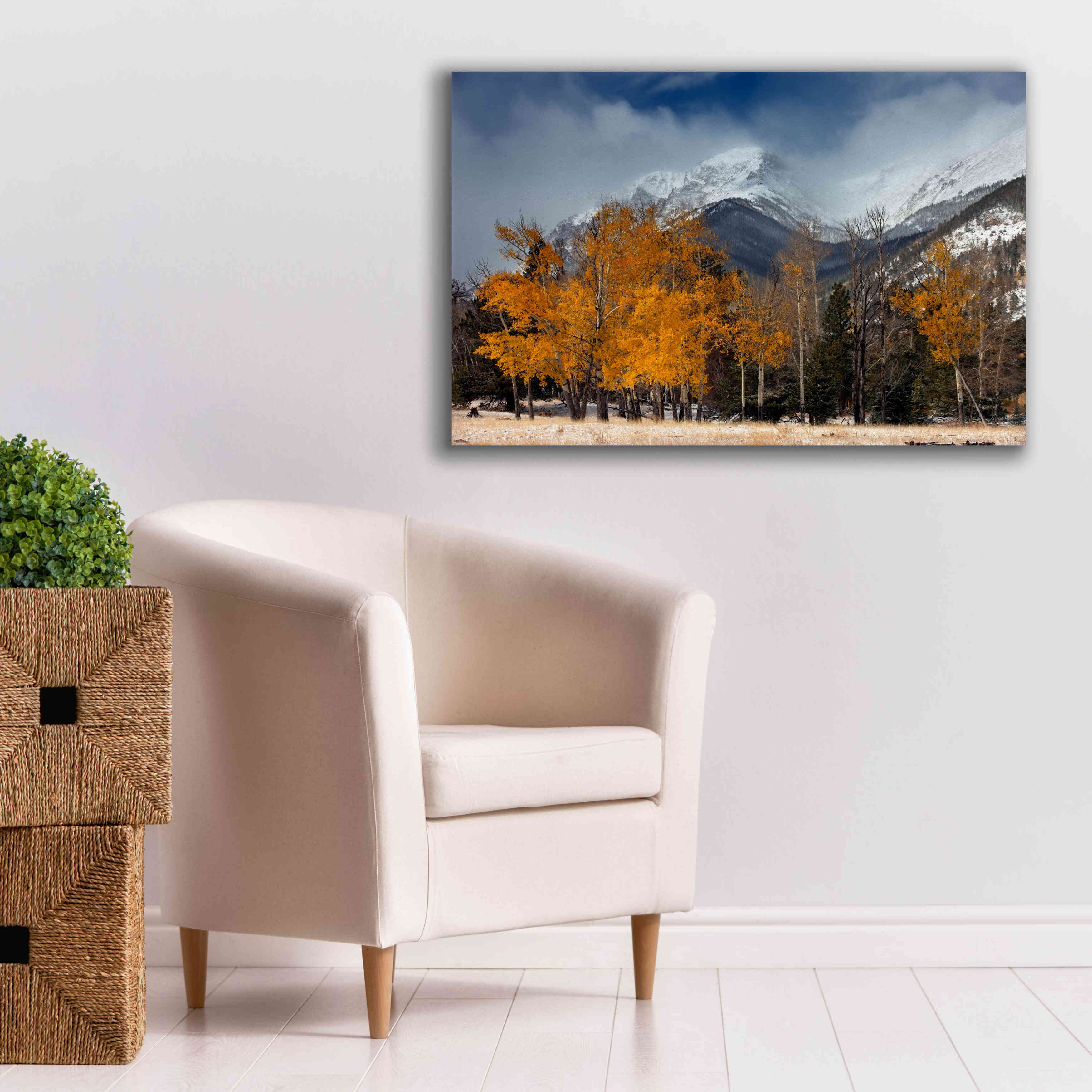 'RMNP Aspens and Storm Clouds' by Mike Jones, Giclee Canvas Wall Art,40 x 26
