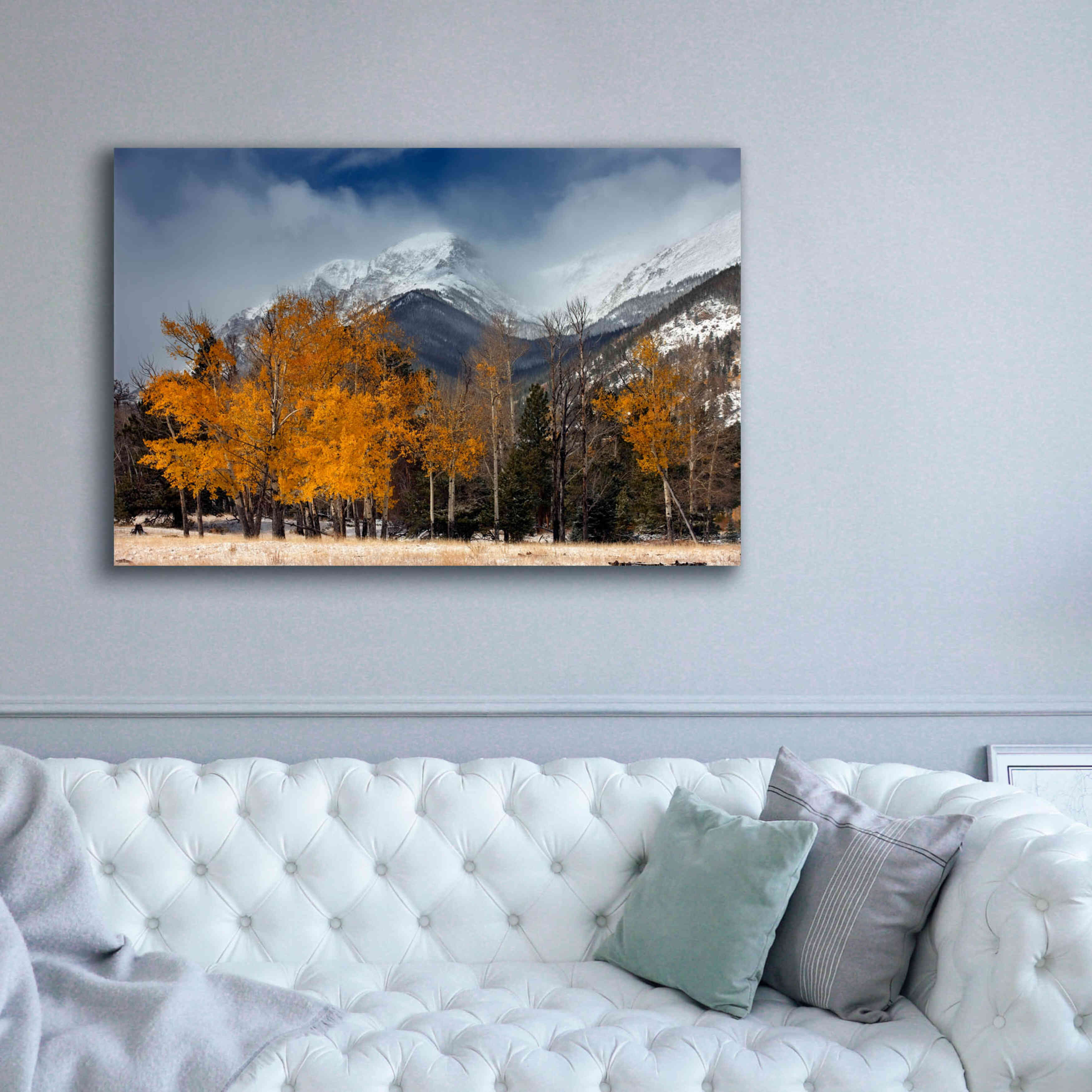 'RMNP Aspens and Storm Clouds' by Mike Jones, Giclee Canvas Wall Art,60 x 40