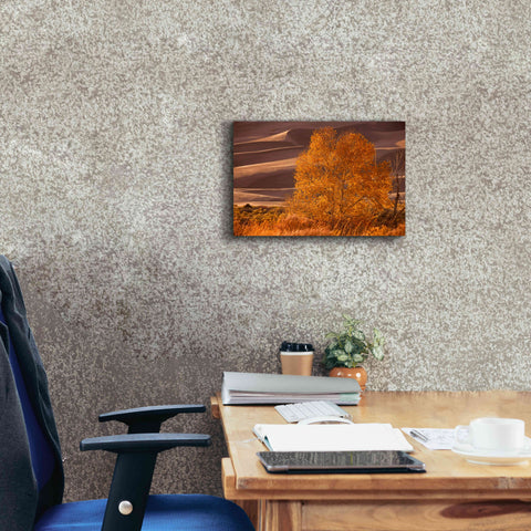 Image of 'Sand Dunes NP' by Mike Jones, Giclee Canvas Wall Art,18 x 12