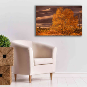 'Sand Dunes NP' by Mike Jones, Giclee Canvas Wall Art,40 x 26
