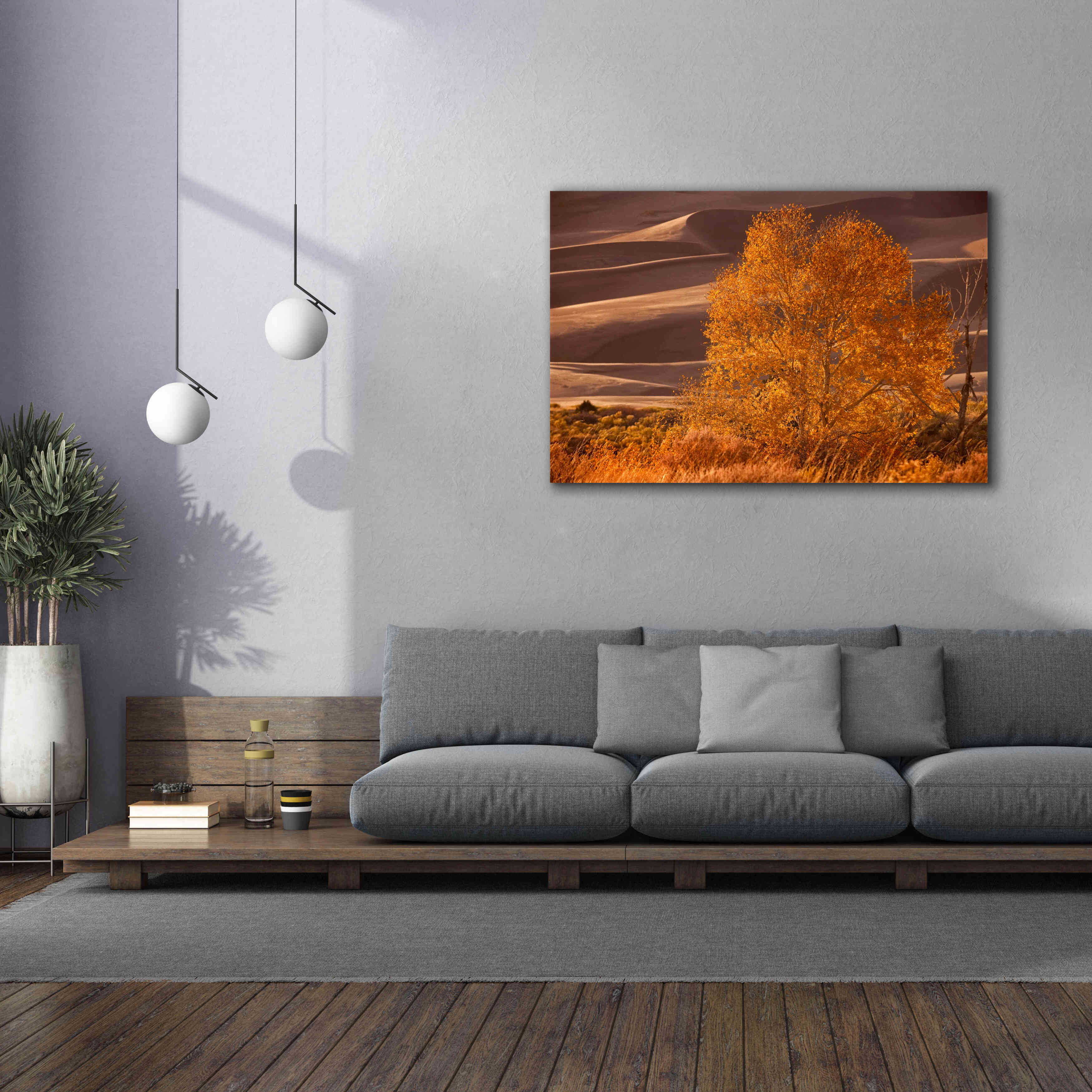 'Sand Dunes NP' by Mike Jones, Giclee Canvas Wall Art,60 x 40