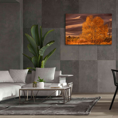 Image of 'Sand Dunes NP' by Mike Jones, Giclee Canvas Wall Art,60 x 40