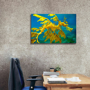 'Sea Dragon' by Mike Jones, Giclee Canvas Wall Art,40 x 26