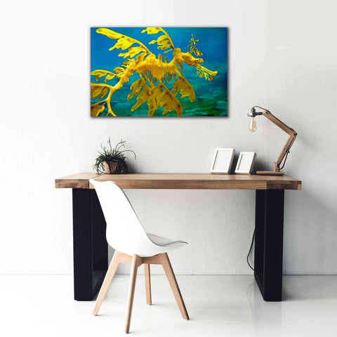Image of 'Sea Dragon' by Mike Jones, Giclee Canvas Wall Art,40 x 26