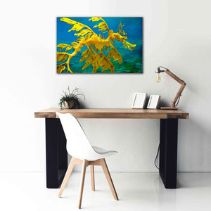 'Sea Dragon' by Mike Jones, Giclee Canvas Wall Art,40 x 26