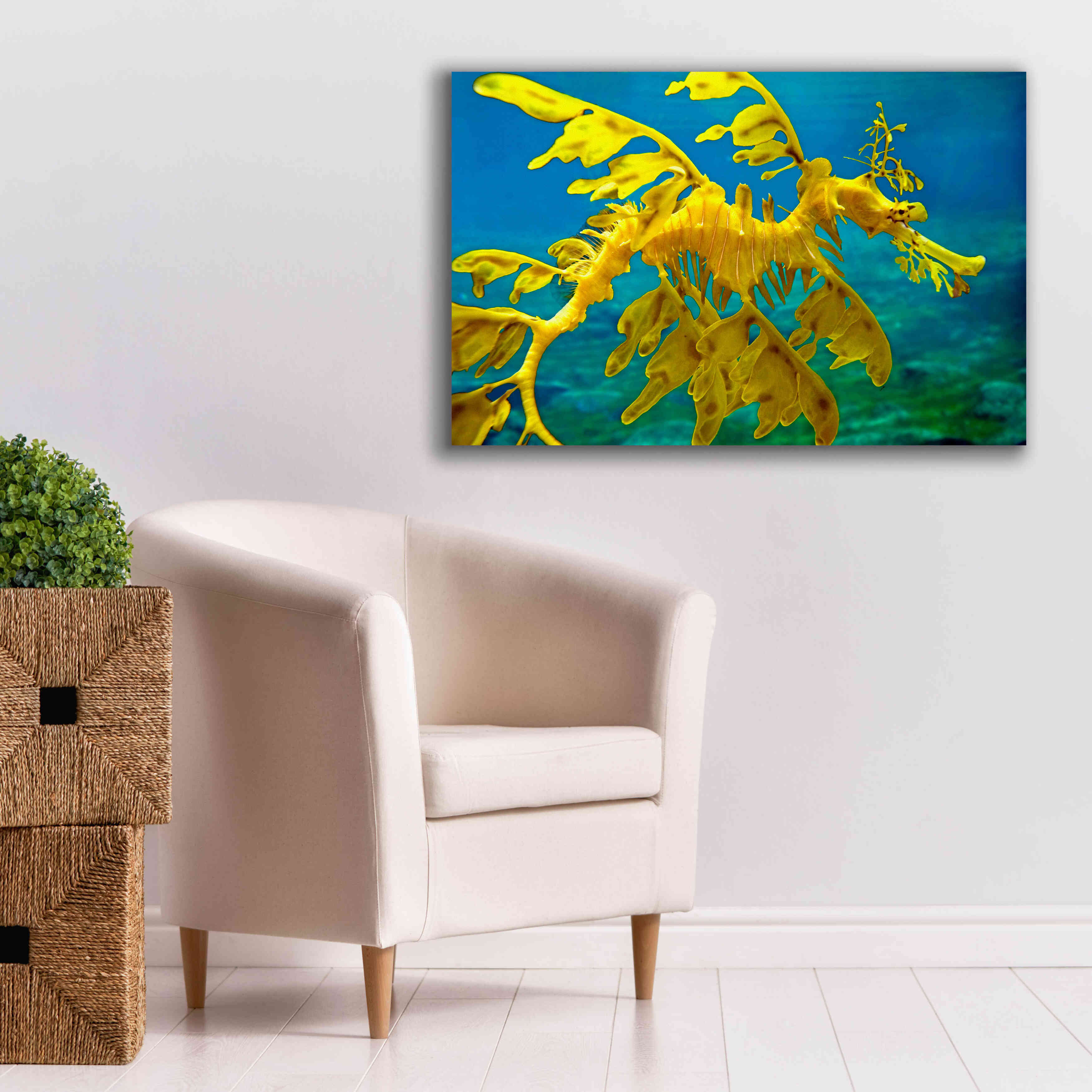 'Sea Dragon' by Mike Jones, Giclee Canvas Wall Art,40 x 26