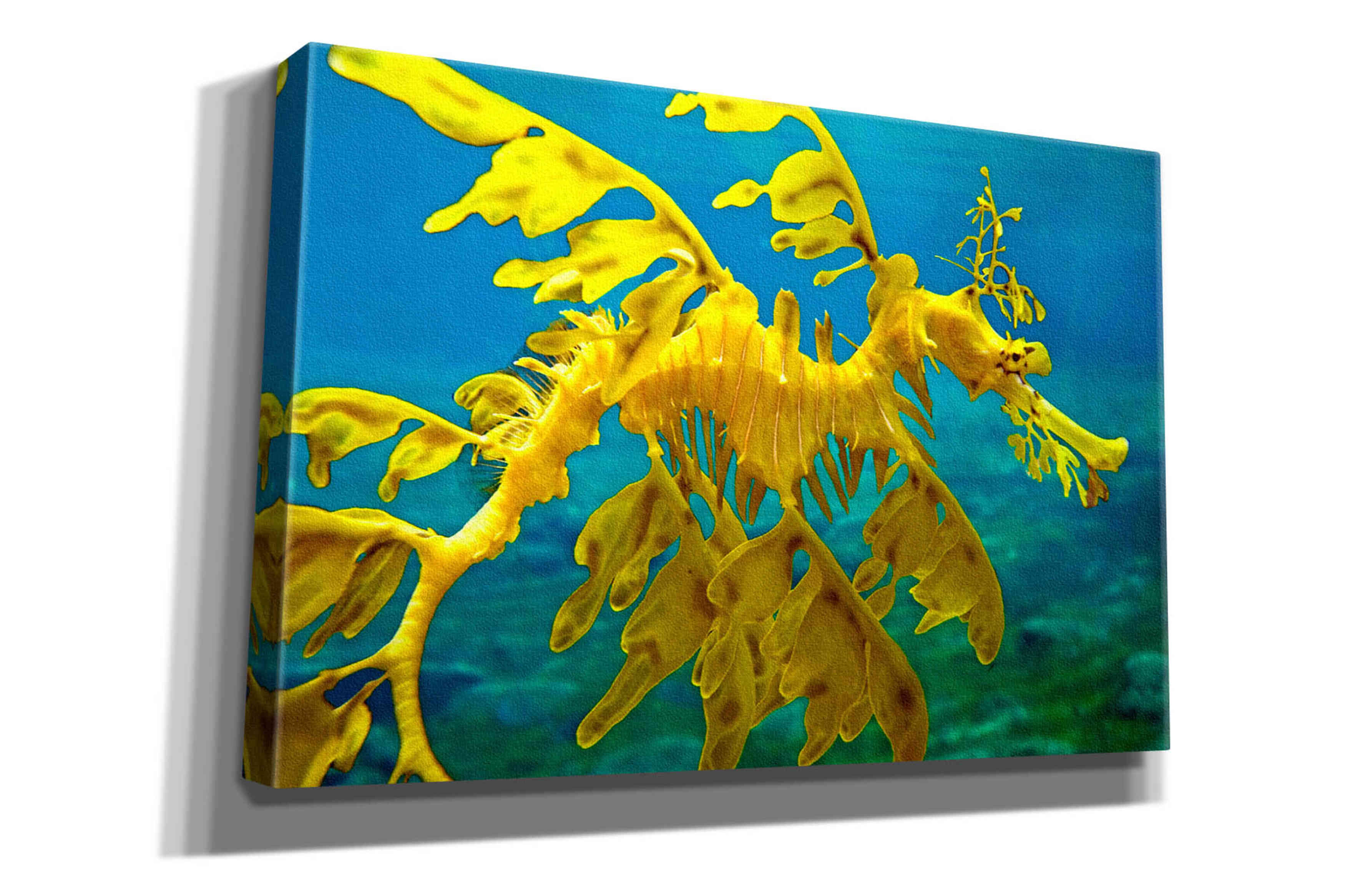 'Sea Dragon' by Mike Jones, Giclee Canvas Wall Art