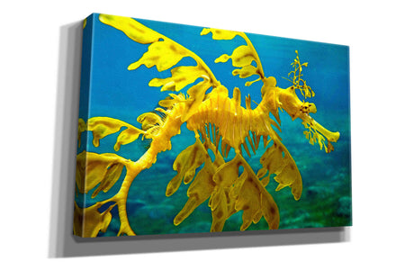 'Sea Dragon' by Mike Jones, Giclee Canvas Wall Art