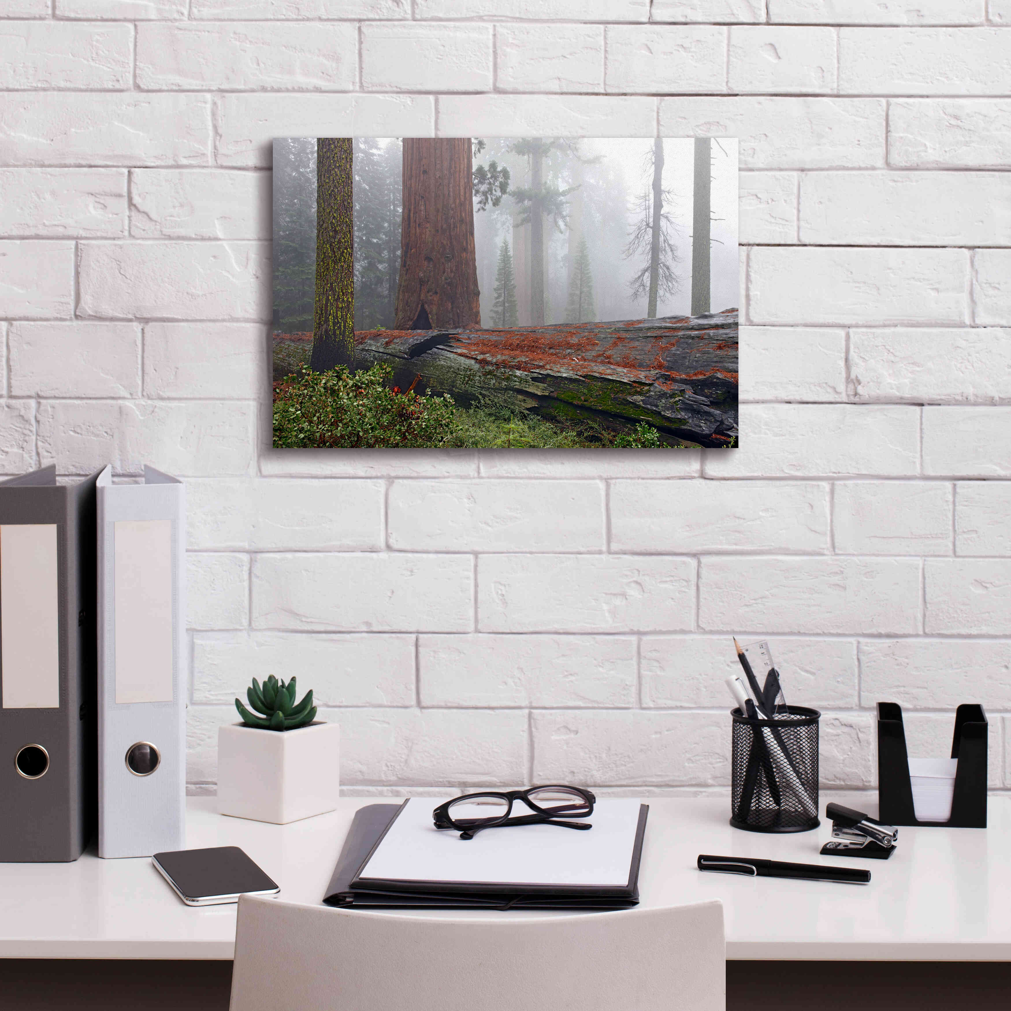 'Sequoia Fallen Giant' by Mike Jones, Giclee Canvas Wall Art,18 x 12
