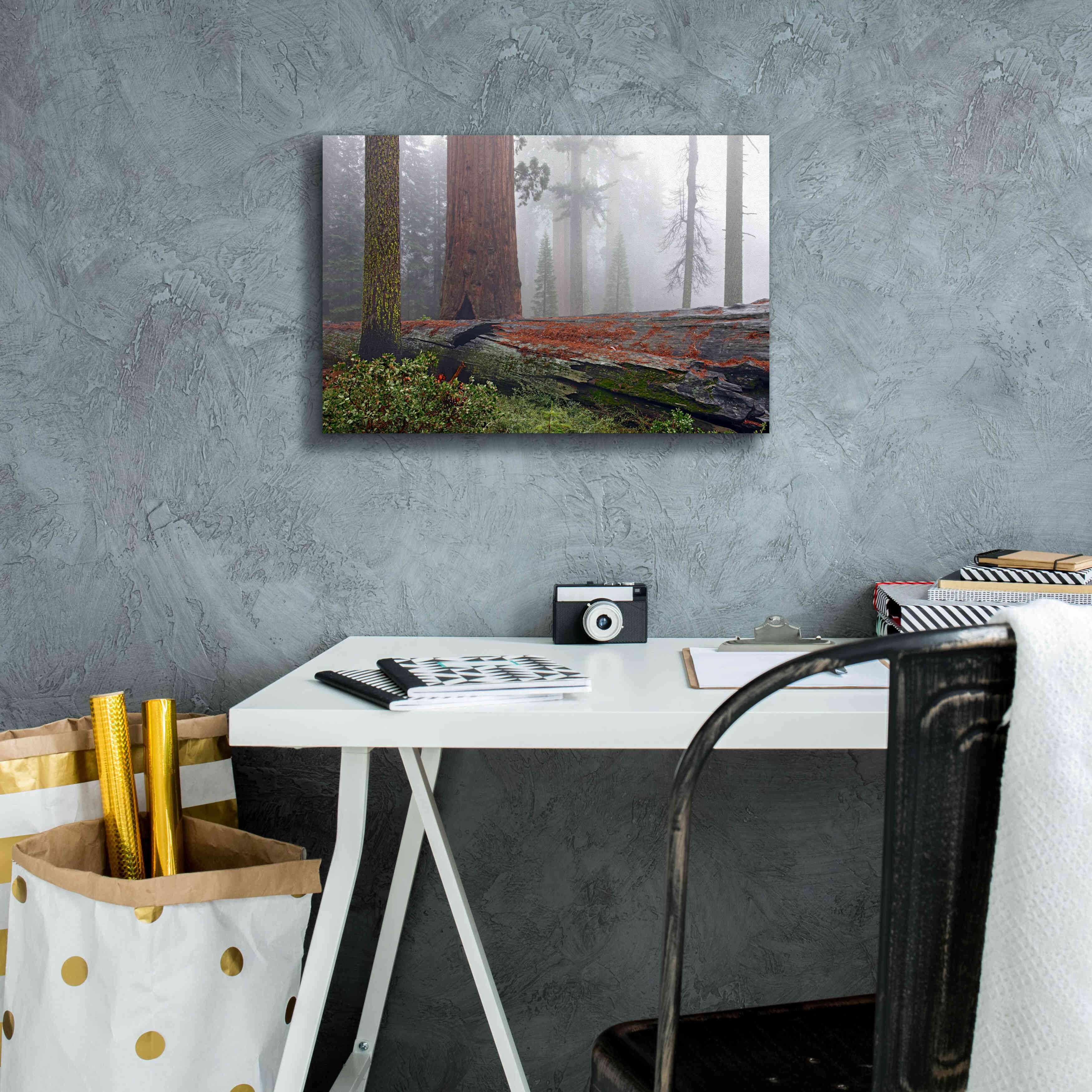 'Sequoia Fallen Giant' by Mike Jones, Giclee Canvas Wall Art,18 x 12