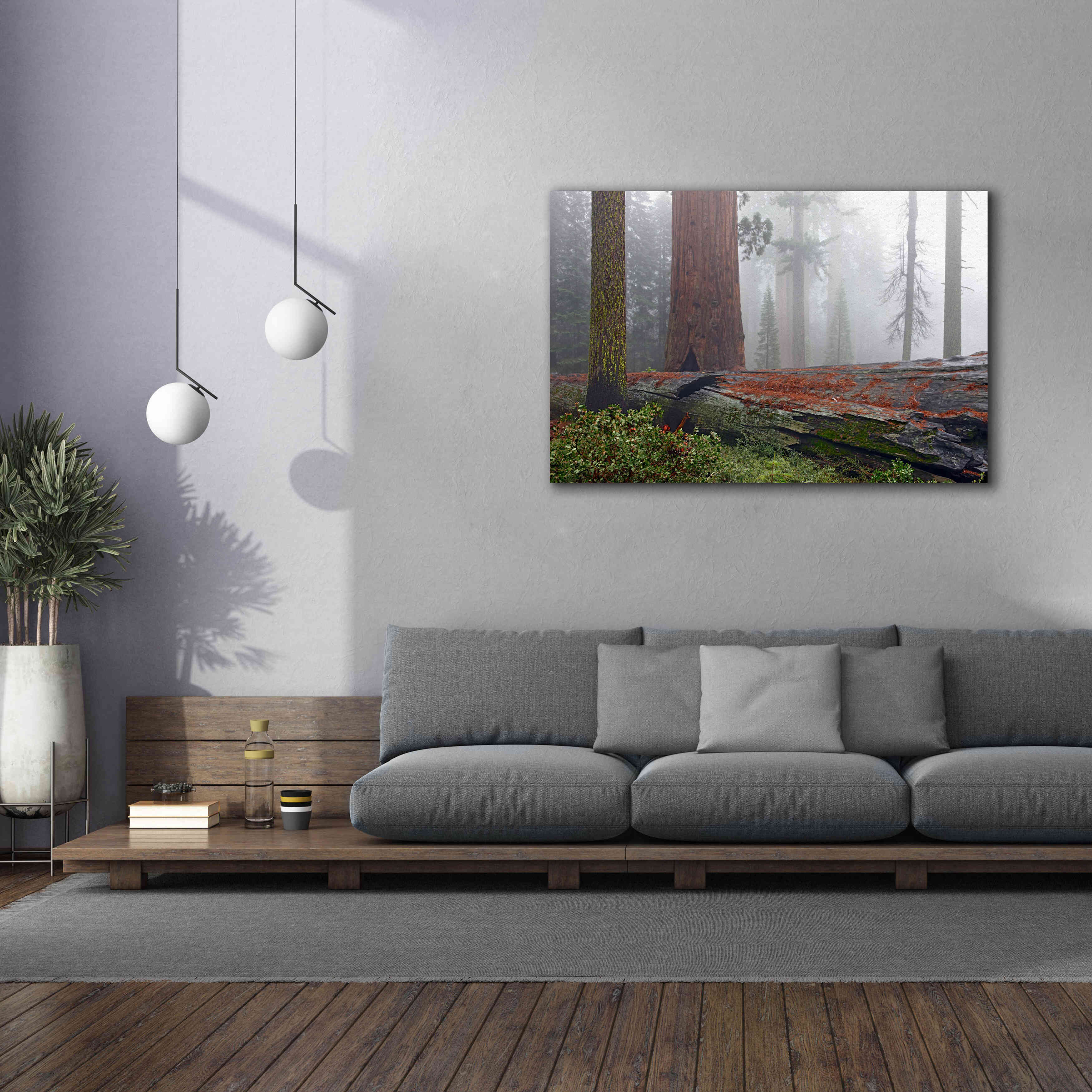 'Sequoia Fallen Giant' by Mike Jones, Giclee Canvas Wall Art,60 x 40
