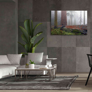 'Sequoia Fallen Giant' by Mike Jones, Giclee Canvas Wall Art,60 x 40