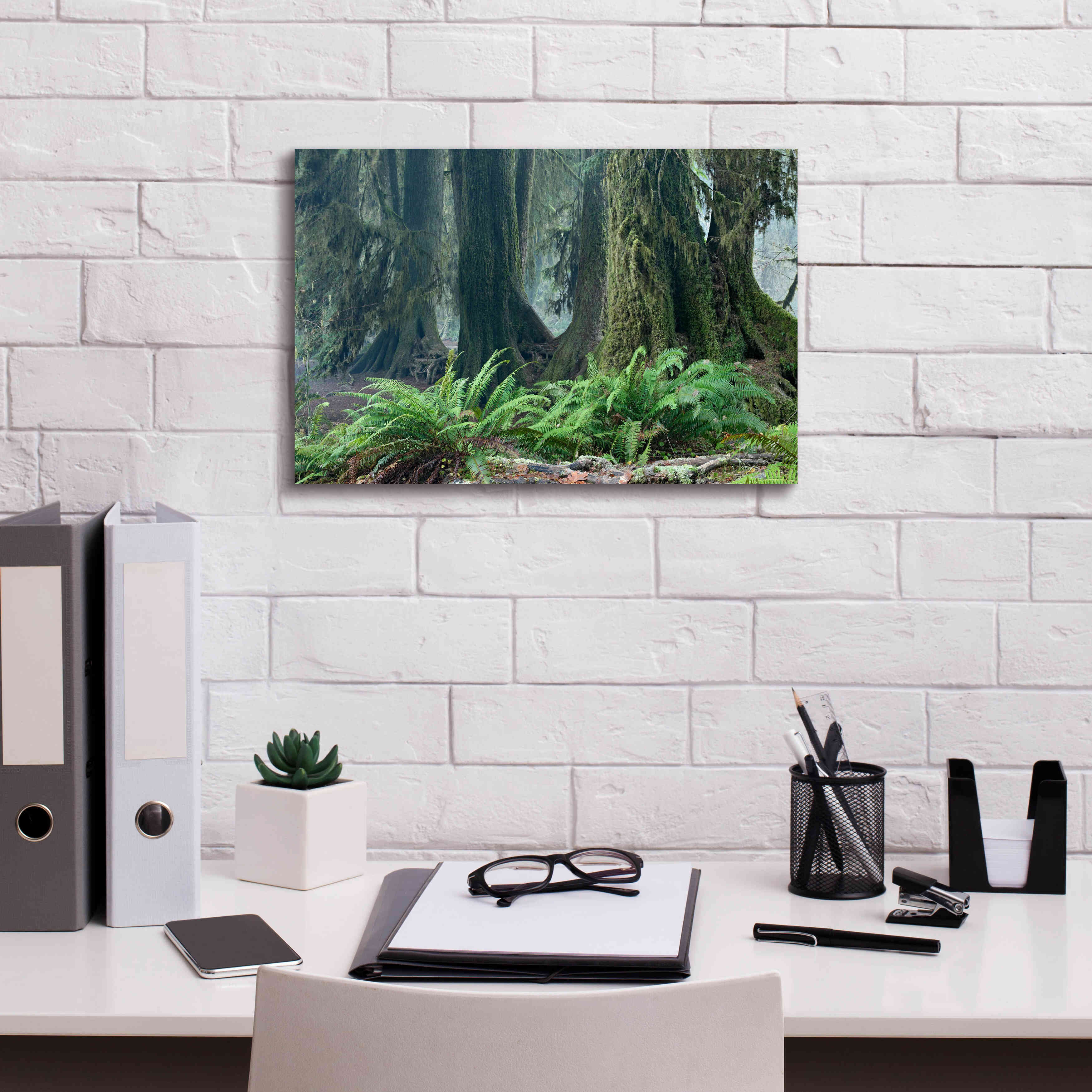'Washington Olympic NP Foggy Ferns' by Mike Jones, Giclee Canvas Wall Art,18 x 12