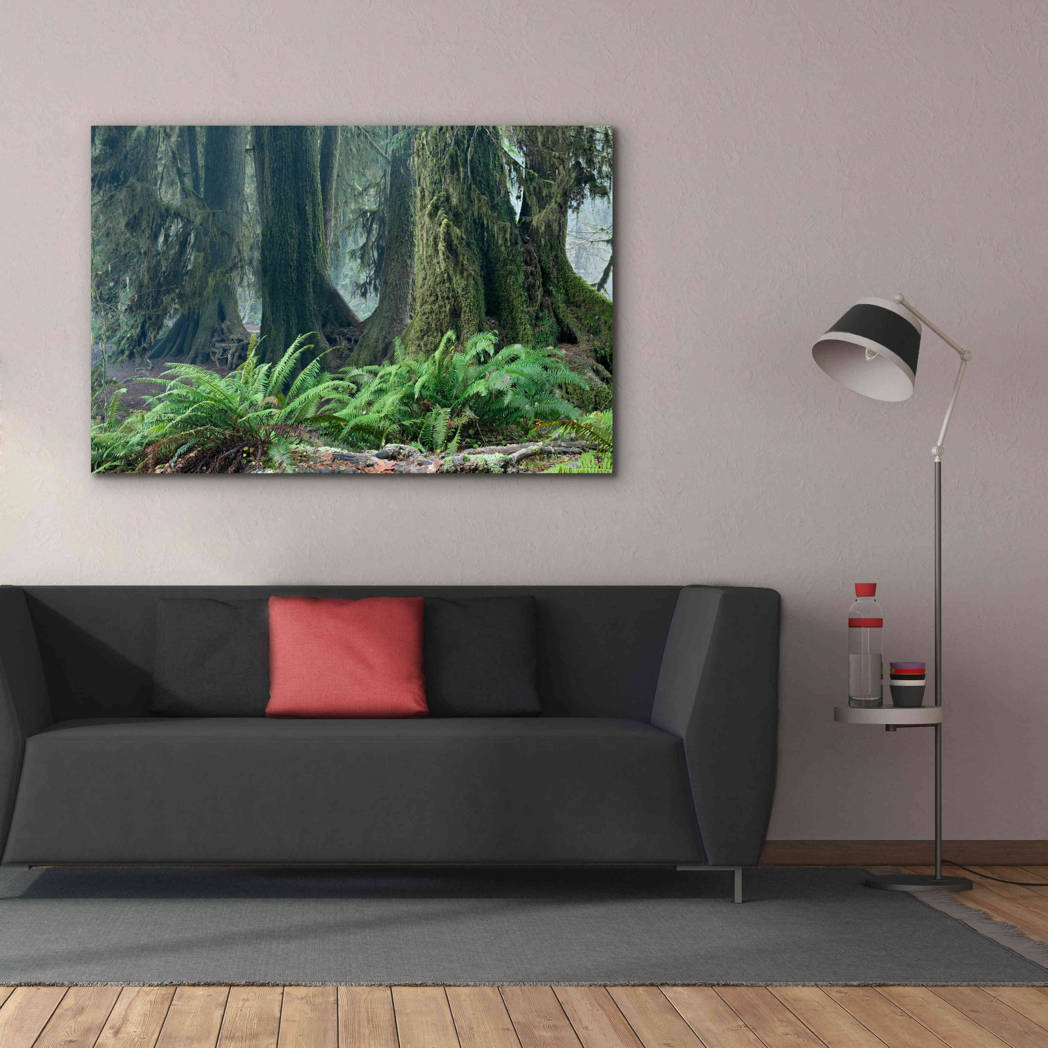 'Washington Olympic NP Foggy Ferns' by Mike Jones, Giclee Canvas Wall Art,60 x 40