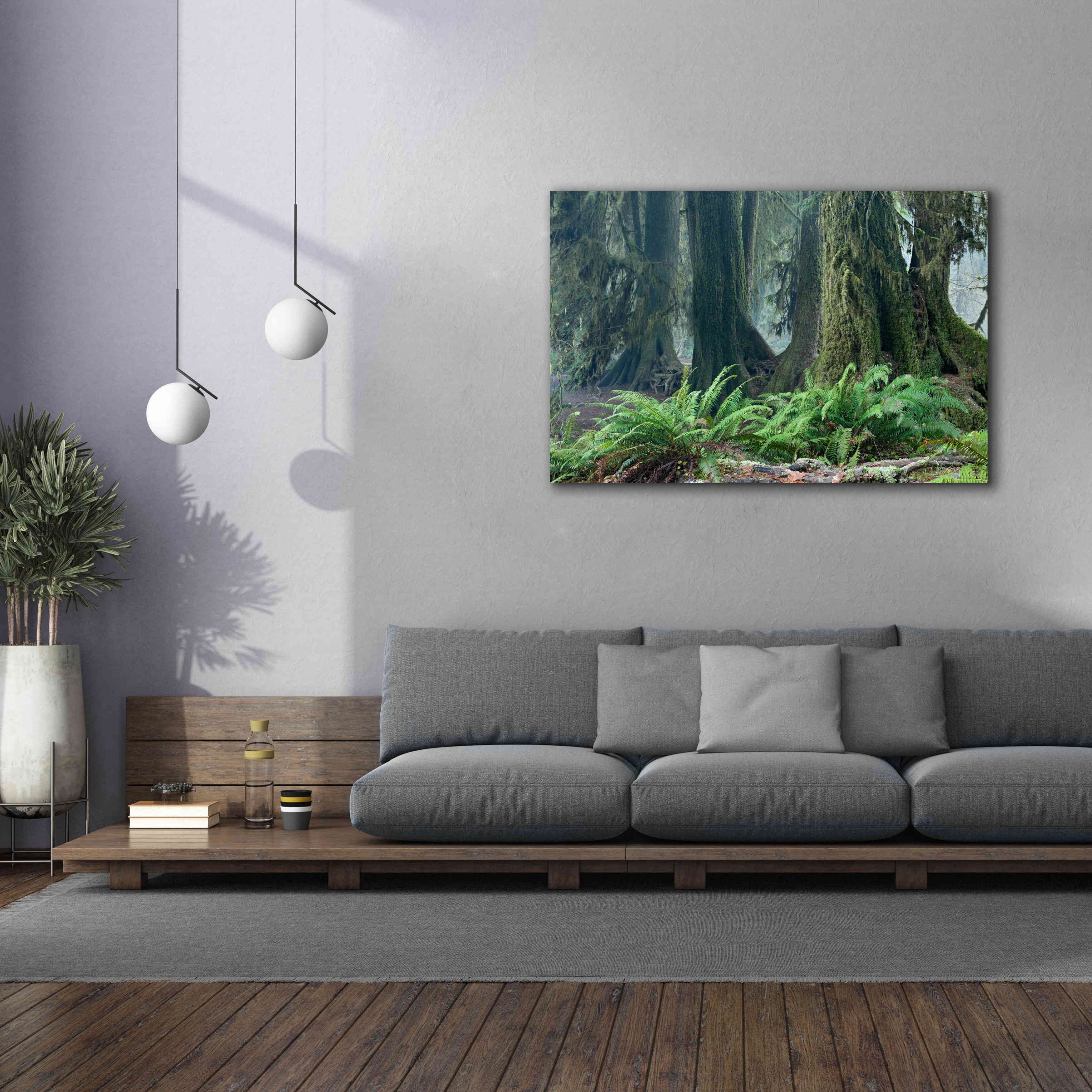 'Washington Olympic NP Foggy Ferns' by Mike Jones, Giclee Canvas Wall Art,60 x 40