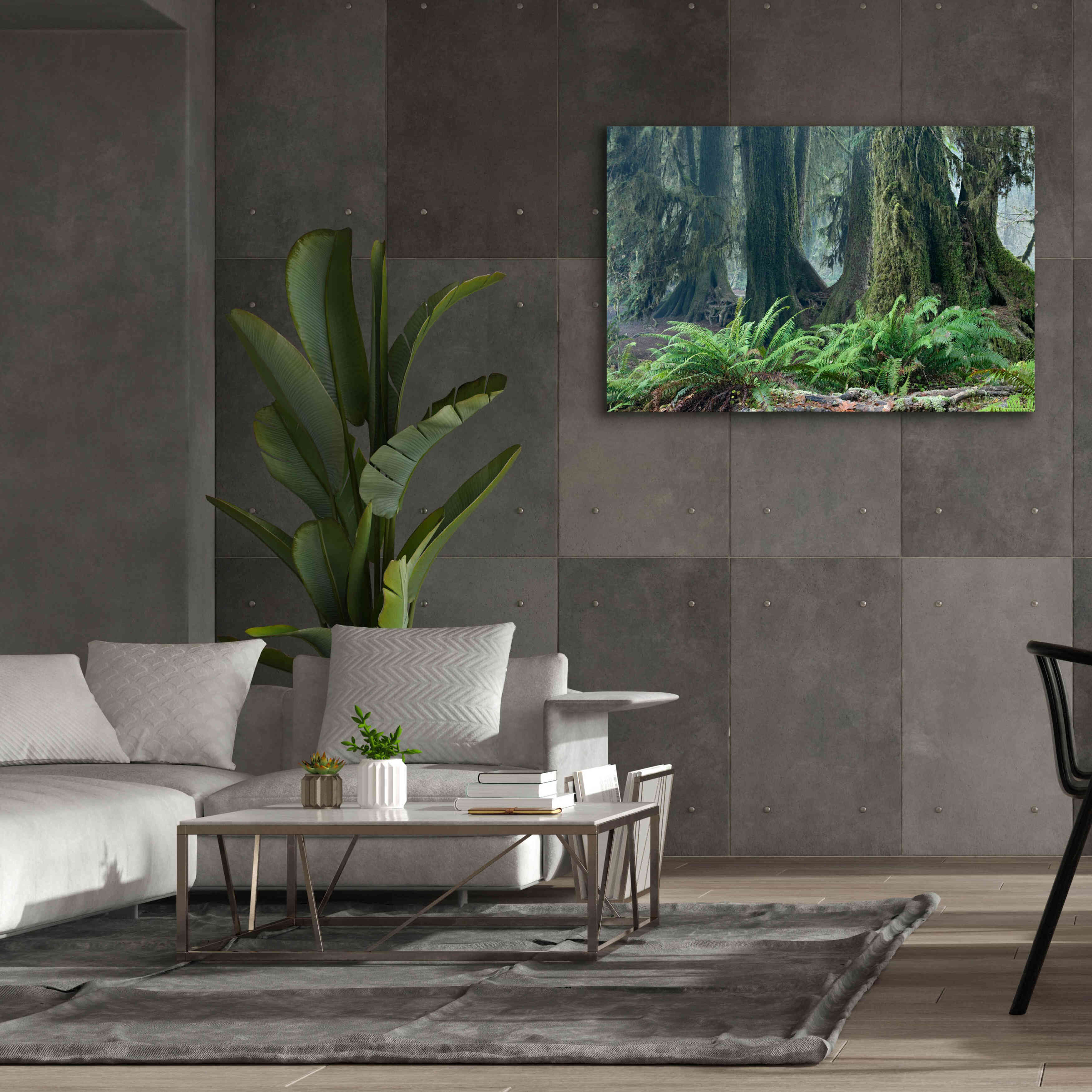 'Washington Olympic NP Foggy Ferns' by Mike Jones, Giclee Canvas Wall Art,60 x 40