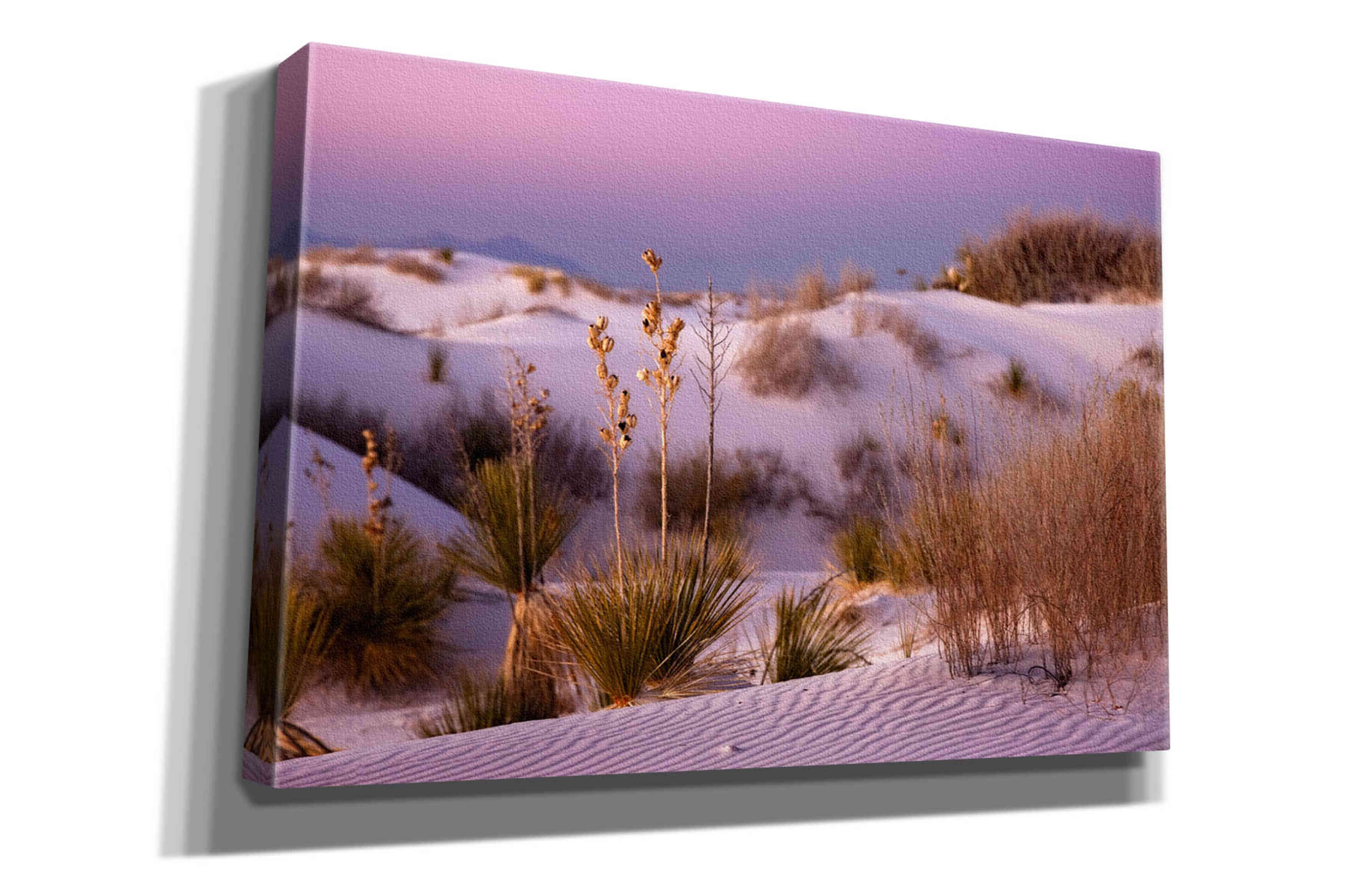 'White Sands Dusk' by Mike Jones, Giclee Canvas Wall Art