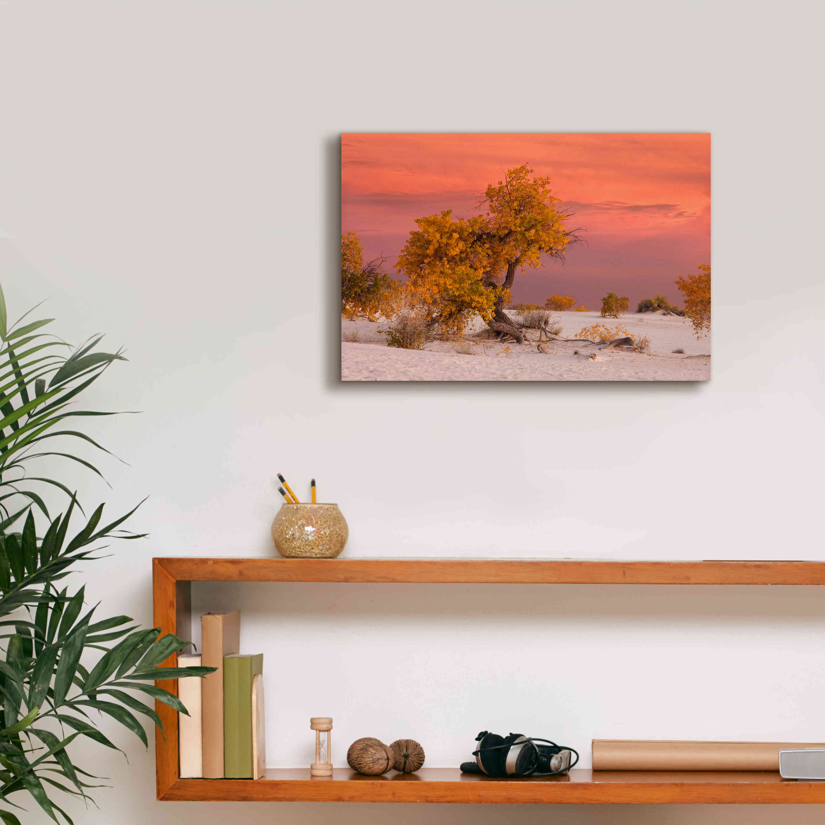 'White Sands Yellow Tree' by Mike Jones, Giclee Canvas Wall Art,18 x 12