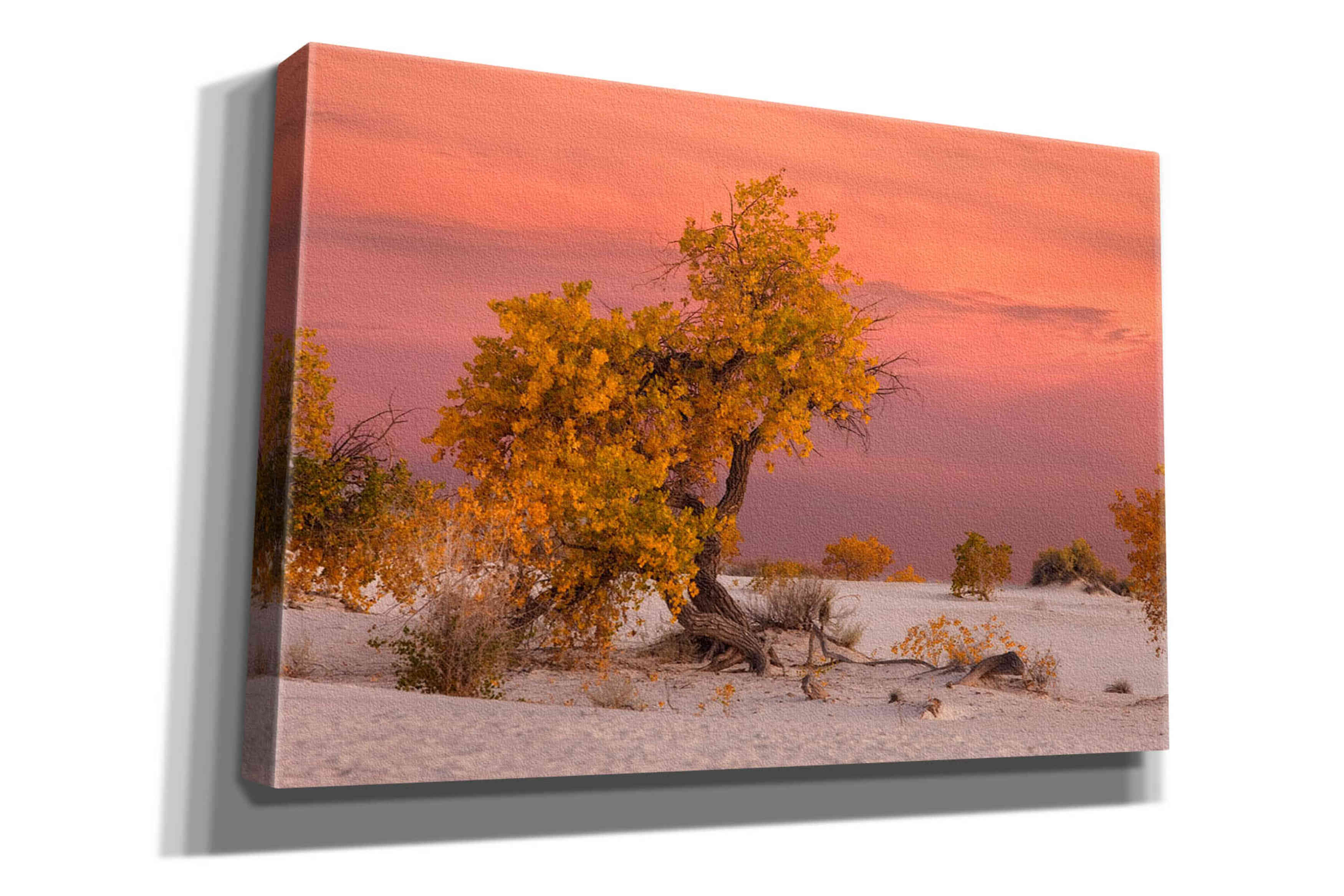 'White Sands Yellow Tree' by Mike Jones, Giclee Canvas Wall Art