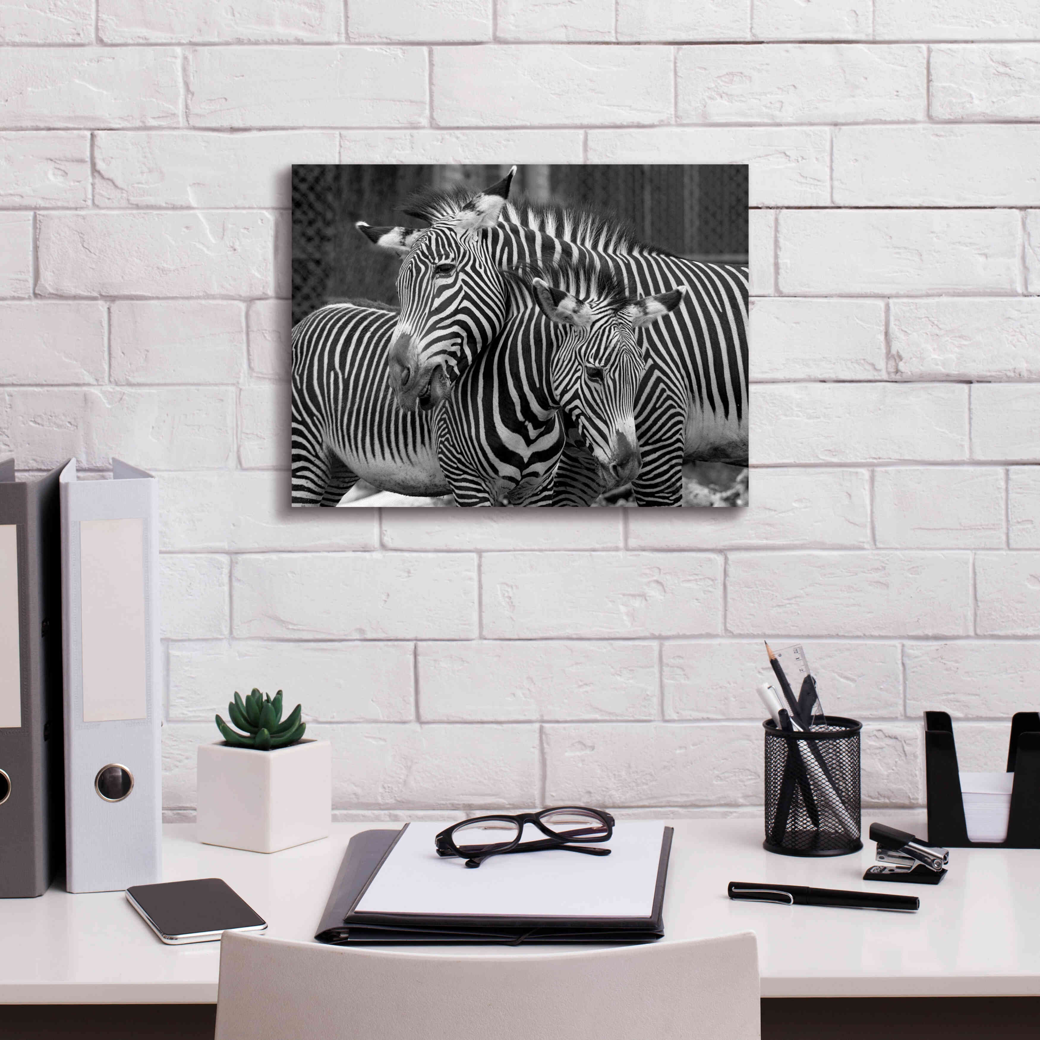 'Zebras' by Mike Jones, Giclee Canvas Wall Art,16 x 12